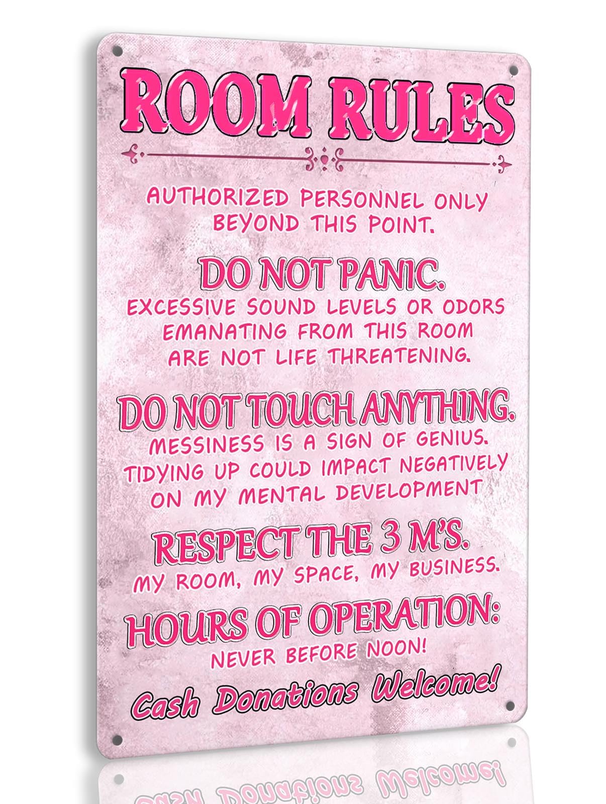 Pink Teen Girl Bedroom Decor - Cute Metal Tin Sign With Room Rules, Aesthetic and Preppy Decorations for Bedroom, 12 X 8 Inch