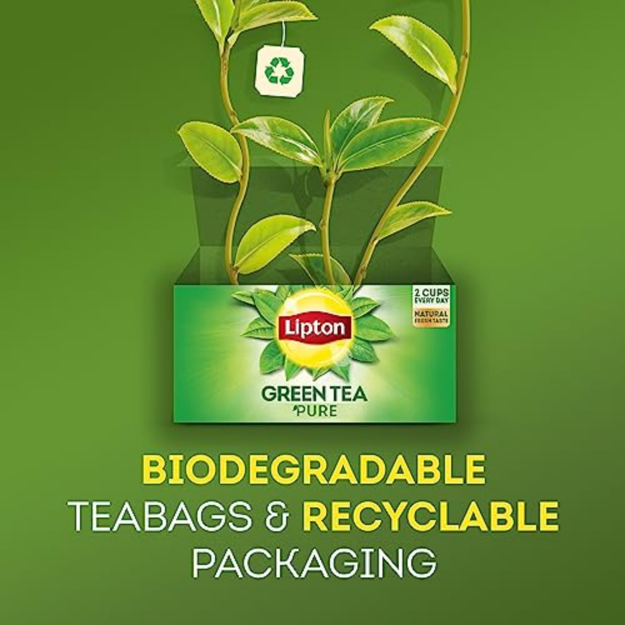 Lipton Honey Ginger Green Tea Bags, Flavored, Unsweetened Teabags for Hot Tea or Iced Tea with Caffeine and Flavonoids, 120 Total Tea Bags (20ct - Pack of 6)