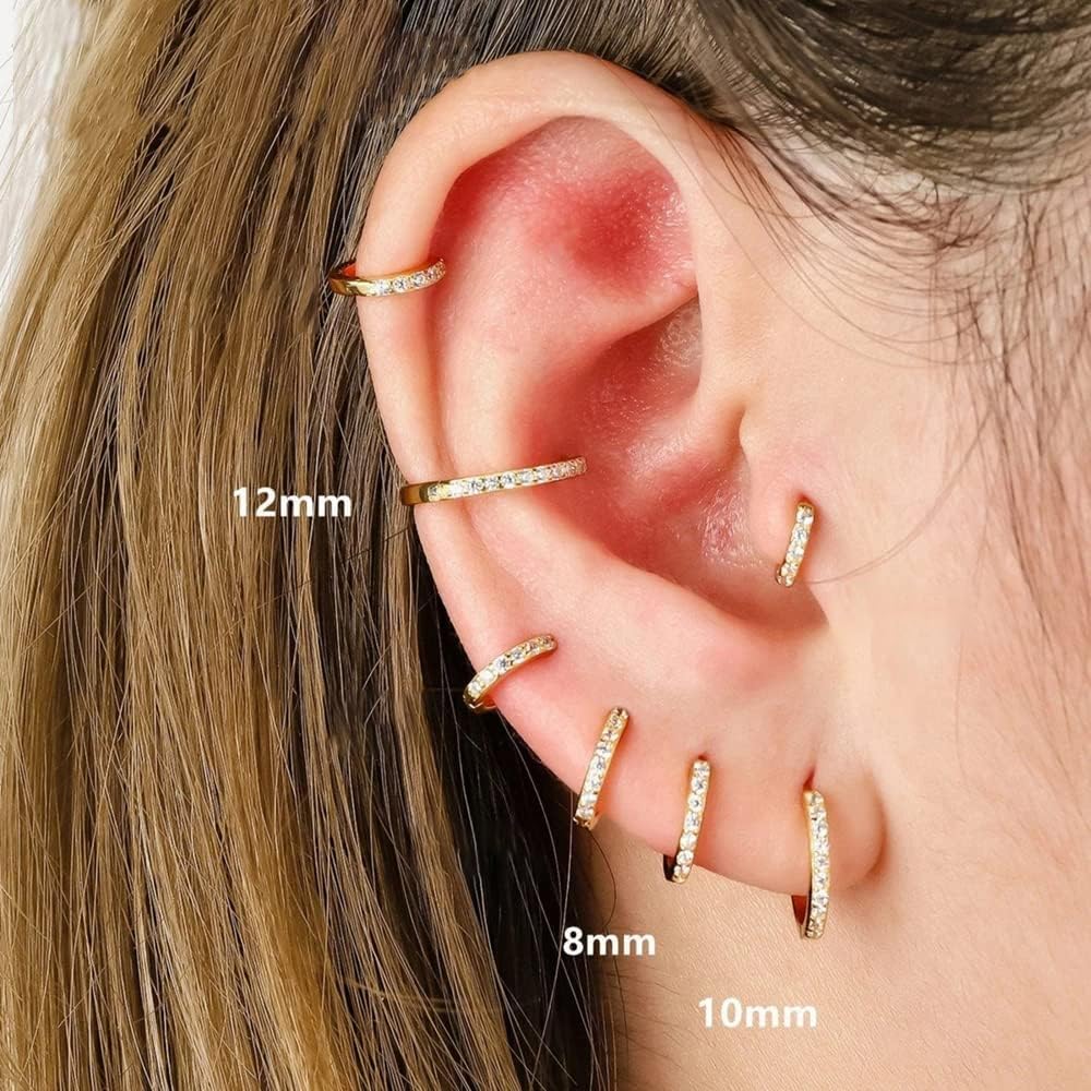 Small Gold Hoop Earrings for Women Men,14K Gold Plated in 316L surgical steel Hinge Huggie Hoop Earrings fit Helix, Rook, Earlobe Lightweight Hypoallergenic Earrings (1 Pair-8mm)