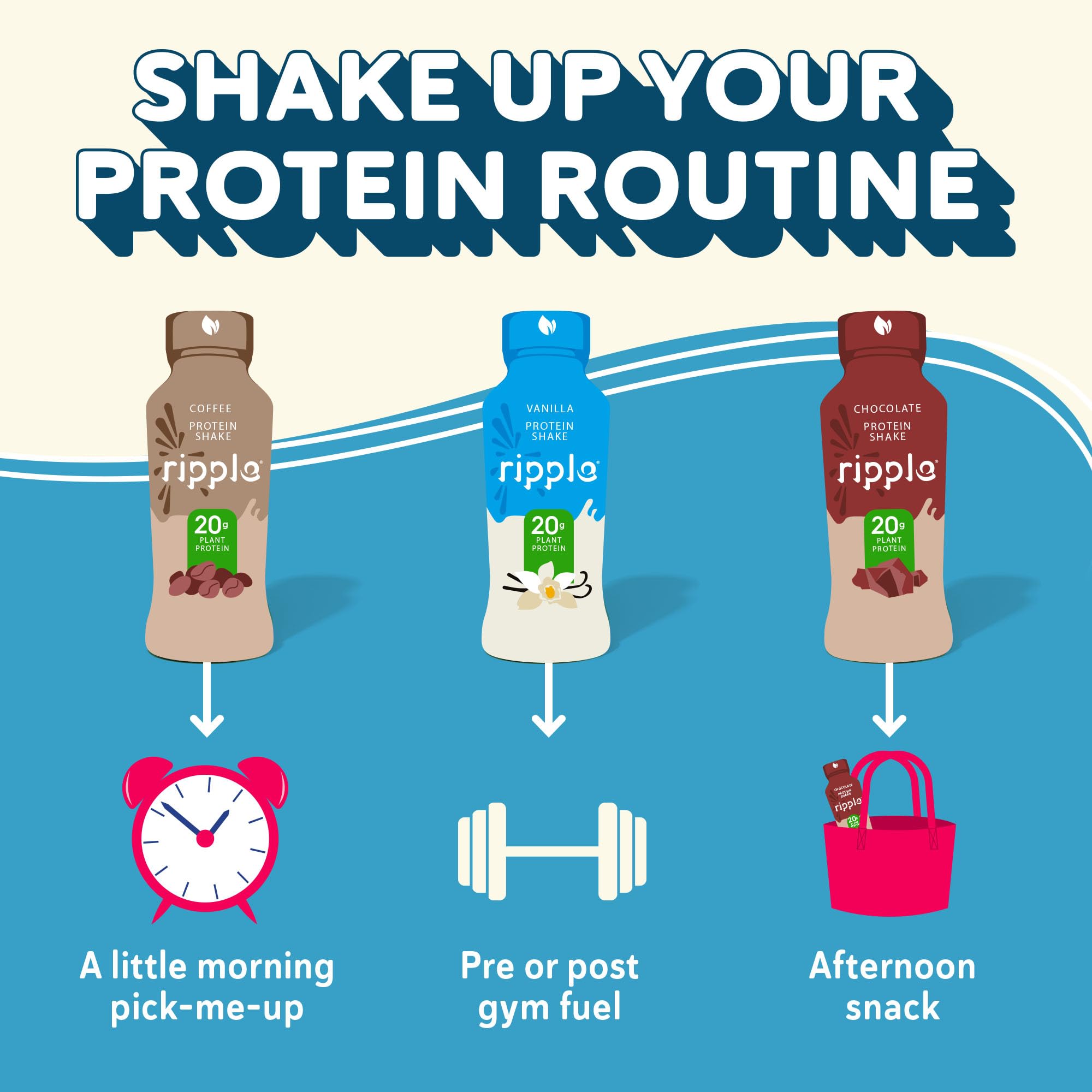 Ripple Vegan Protein Shake | Vanilla | 20g Nutritious Plant Based Pea Protein | Shelf Stable | No GMOs, Soy, Nut, Gluten, Lactose | 12 Oz, 12 Pack