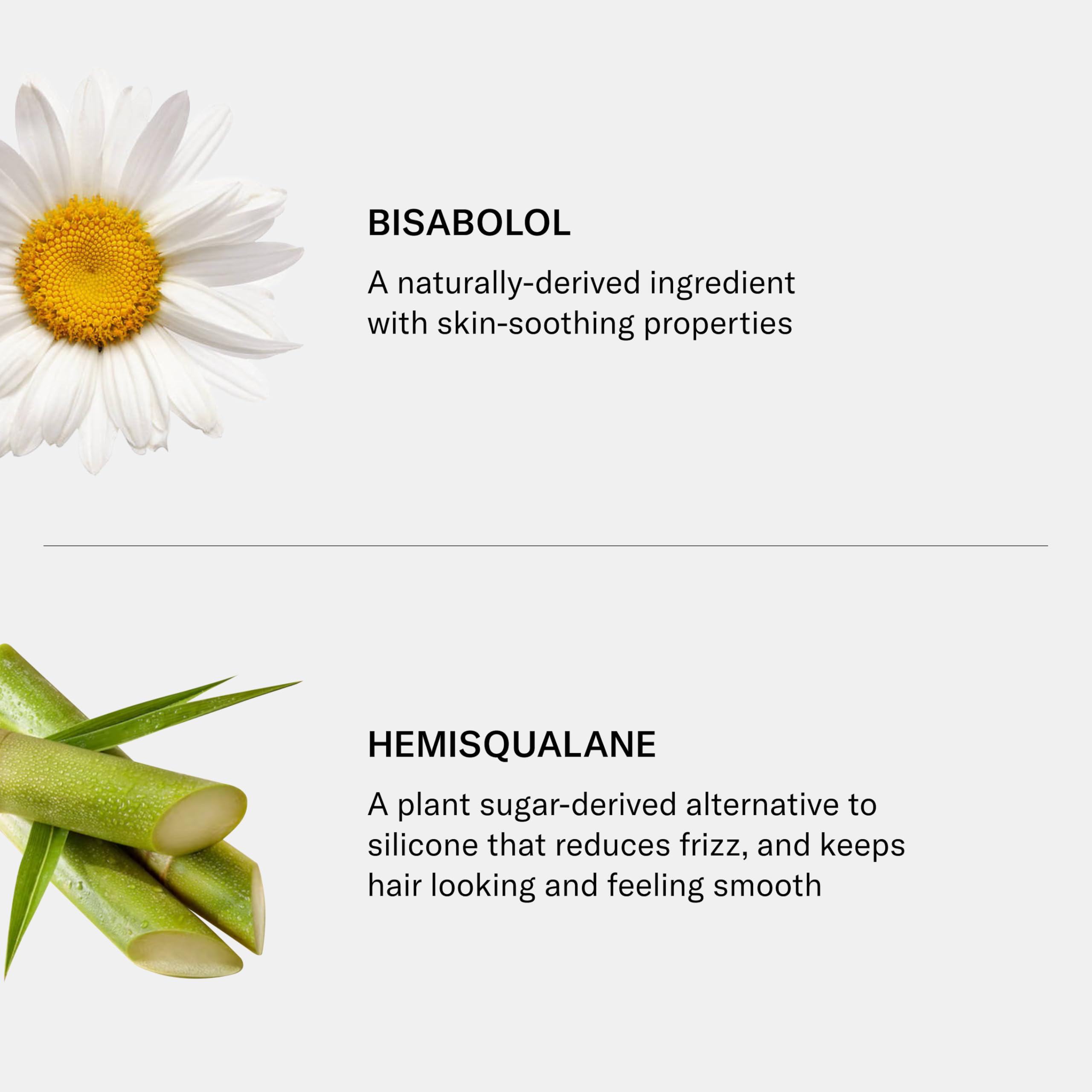SEEN Shampoo - Scented - Non-Comedogenic & Hair Shampoo- Dermatologist-Developed - Safe for Sensitive & Acne Prone Skin