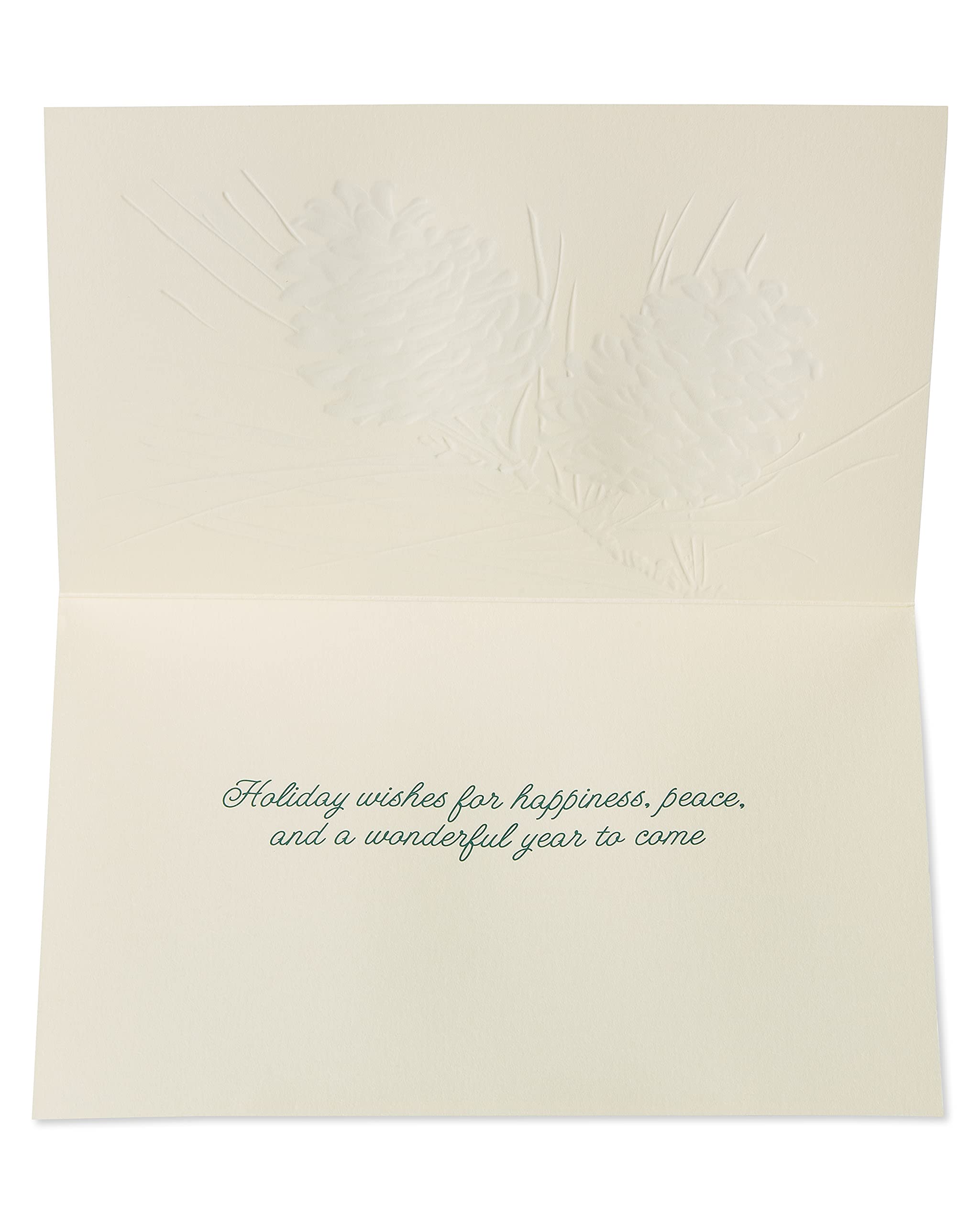 Papyrus Holiday Cards Boxed with Envelopes, Wonderful Year to Come, Pinecones (14-Count)