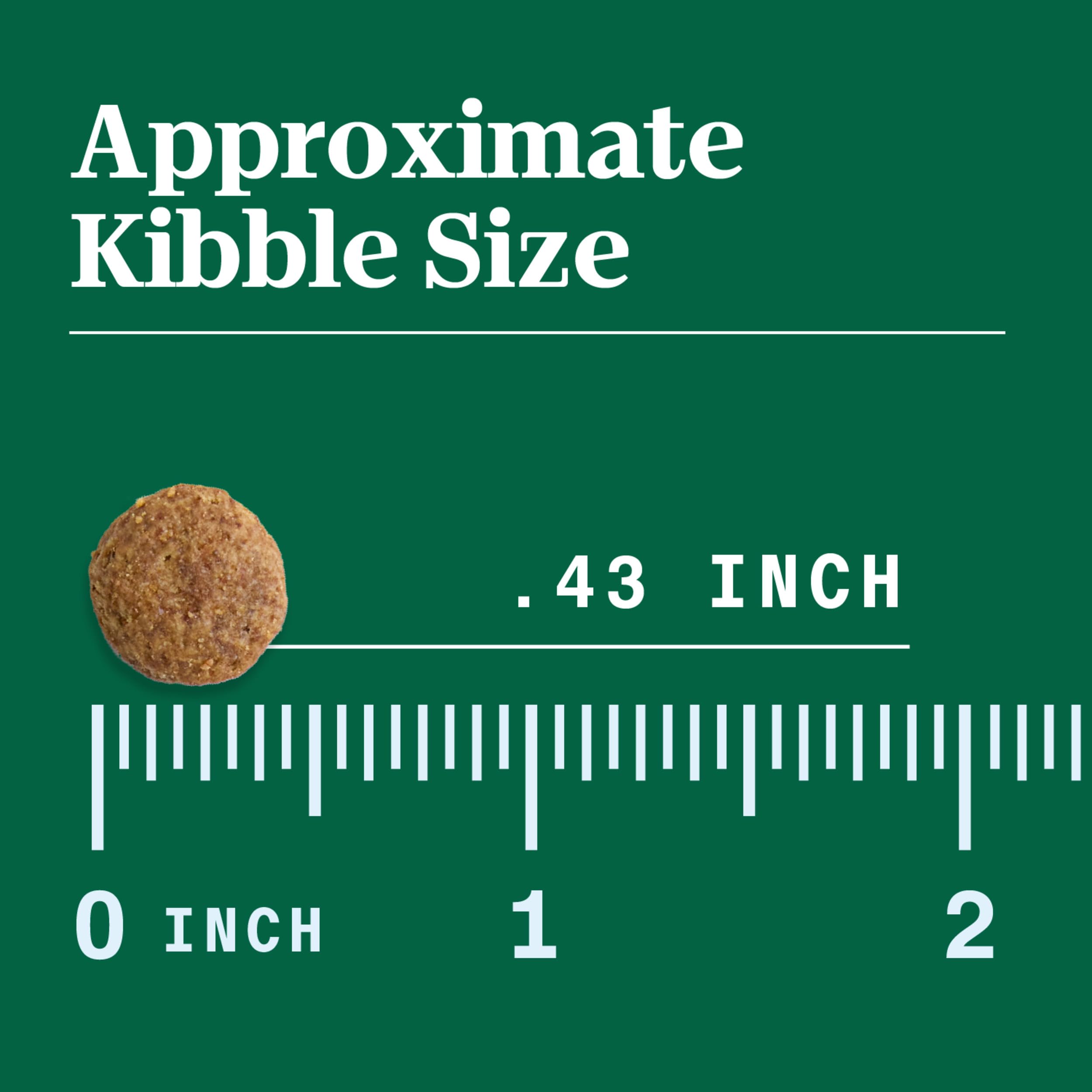 NUTRO Limited Ingredient Diet Adult Dry Dog Food Lamb & Sweet Potato Dog Kibble, 22 lb. Bag