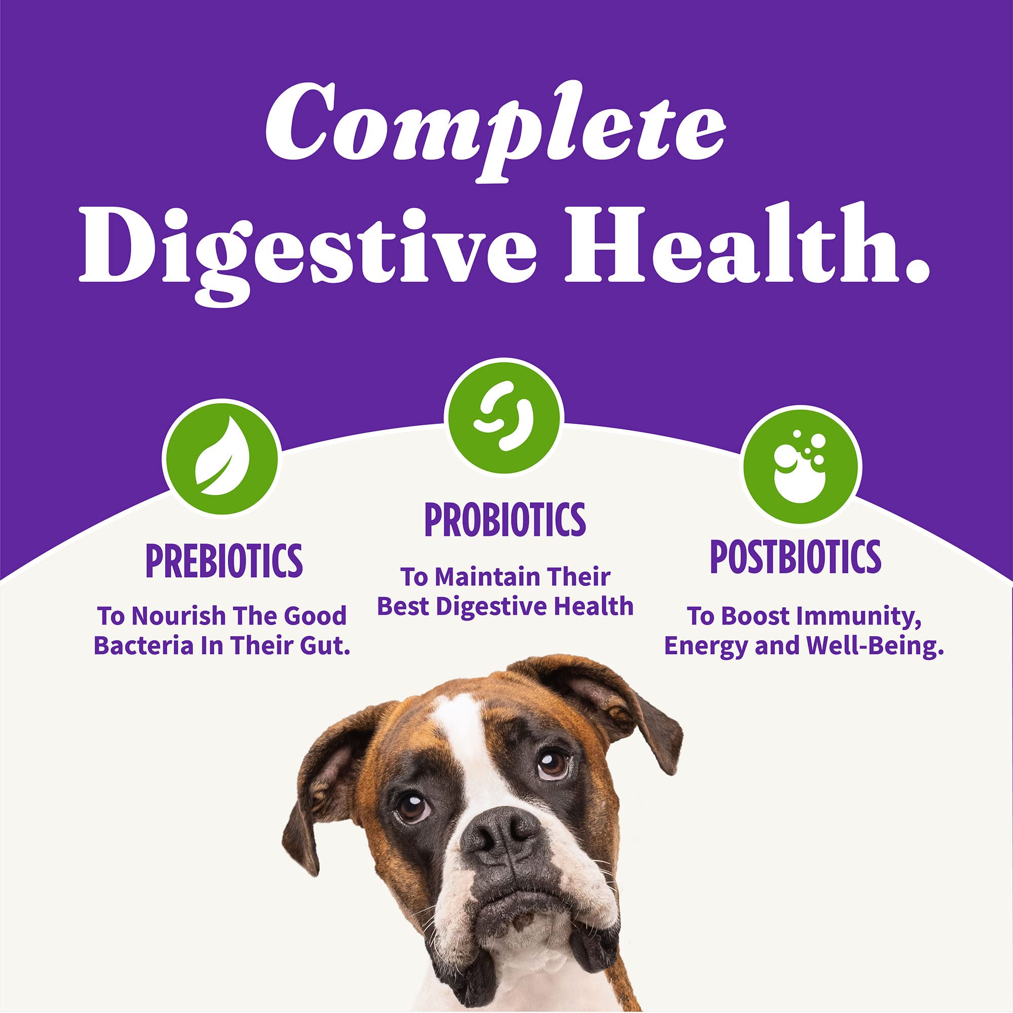 Halo Holistic Plant-Based Recipe With Superfoods, Complete Digestive Health, Vegan Dry Dog Food Bag, Adult Formula, 21-lb Bag