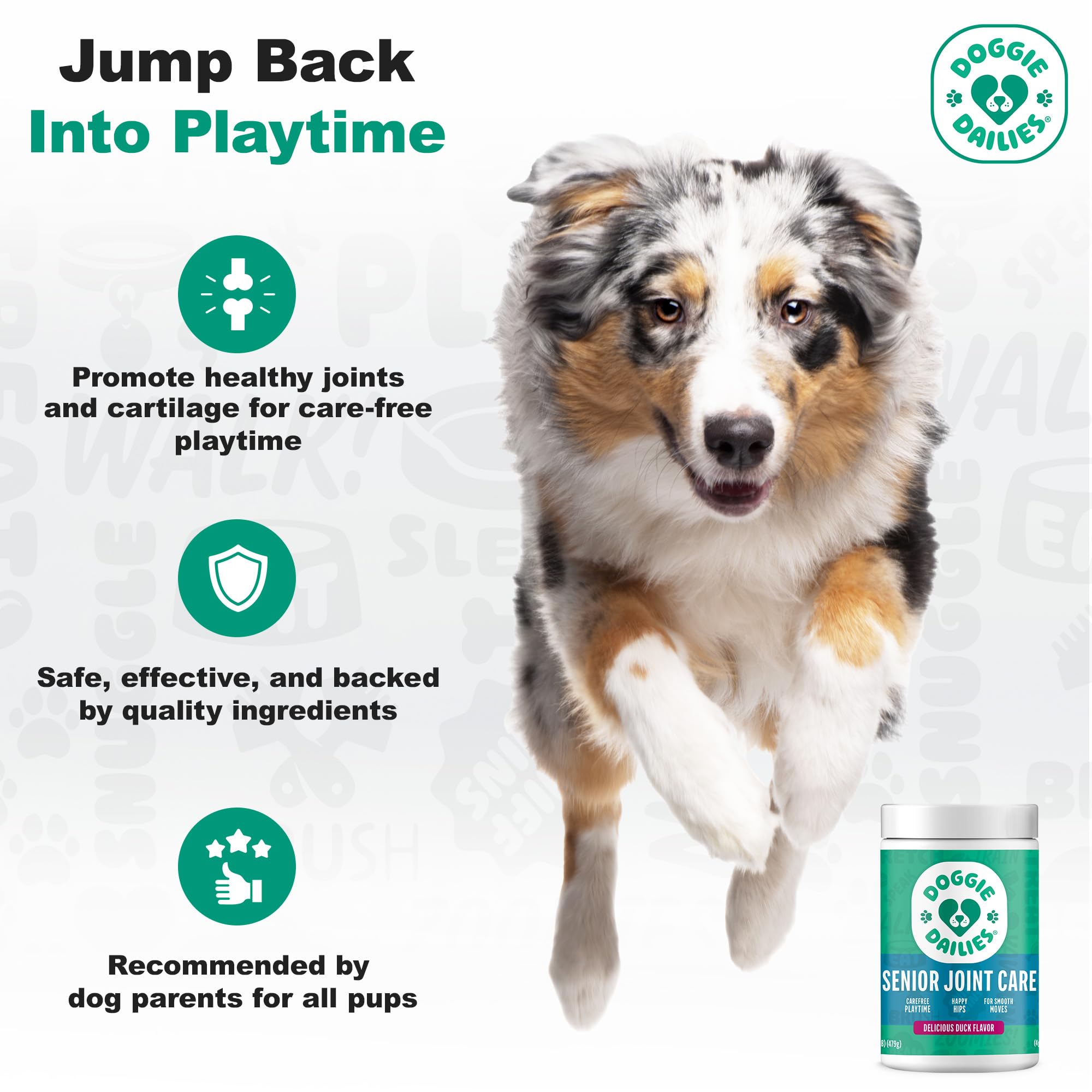 Doggie Dailies, Advanced Senior Hip and Joint Supplement for Dogs, Glucosamine Chondroitin, Premium Hip and Joint Chews for Dogs All Breeds & Sizes, Dog Vitamins and Supplements, (Duck) 120 Chews