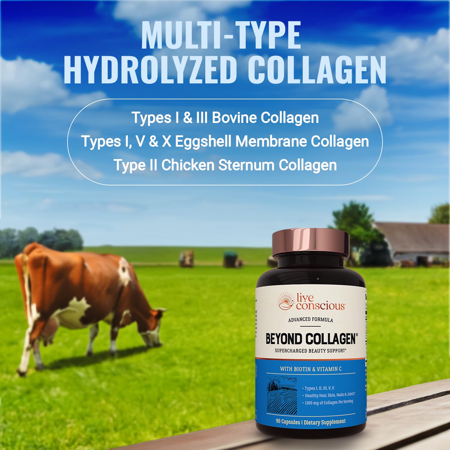 Live Conscious Beyond Collagen Multi Collagen Capsules - Types I, II, III, V & X - Hydrolyzed Blend with Biotin & Vitamin C for Hair, Skin, Nails 90 Capsules