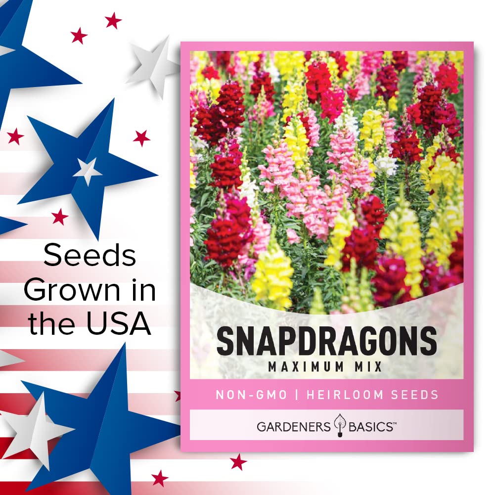 Gardeners Basics, Snapdragon Seeds for Planting (Maximum Mix Snap Dragon) Annual Flower Heirloom, Non-GMO Variety- 400mg Seeds Great for Summer Seeds for Gardening Flowers Gardens