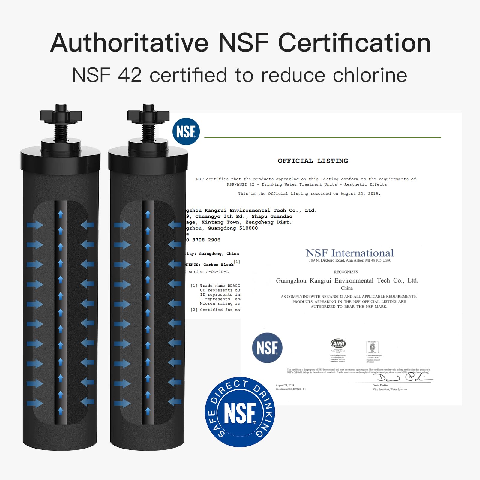 FACHIOO NSF/ANSI 375 Certified Water Filter, Replacement for Berkey® BB9-2® Black Filters & PF-2® Fluoride Filters Purification Elements and Berkey® Gravity Filter System, Pack of 4