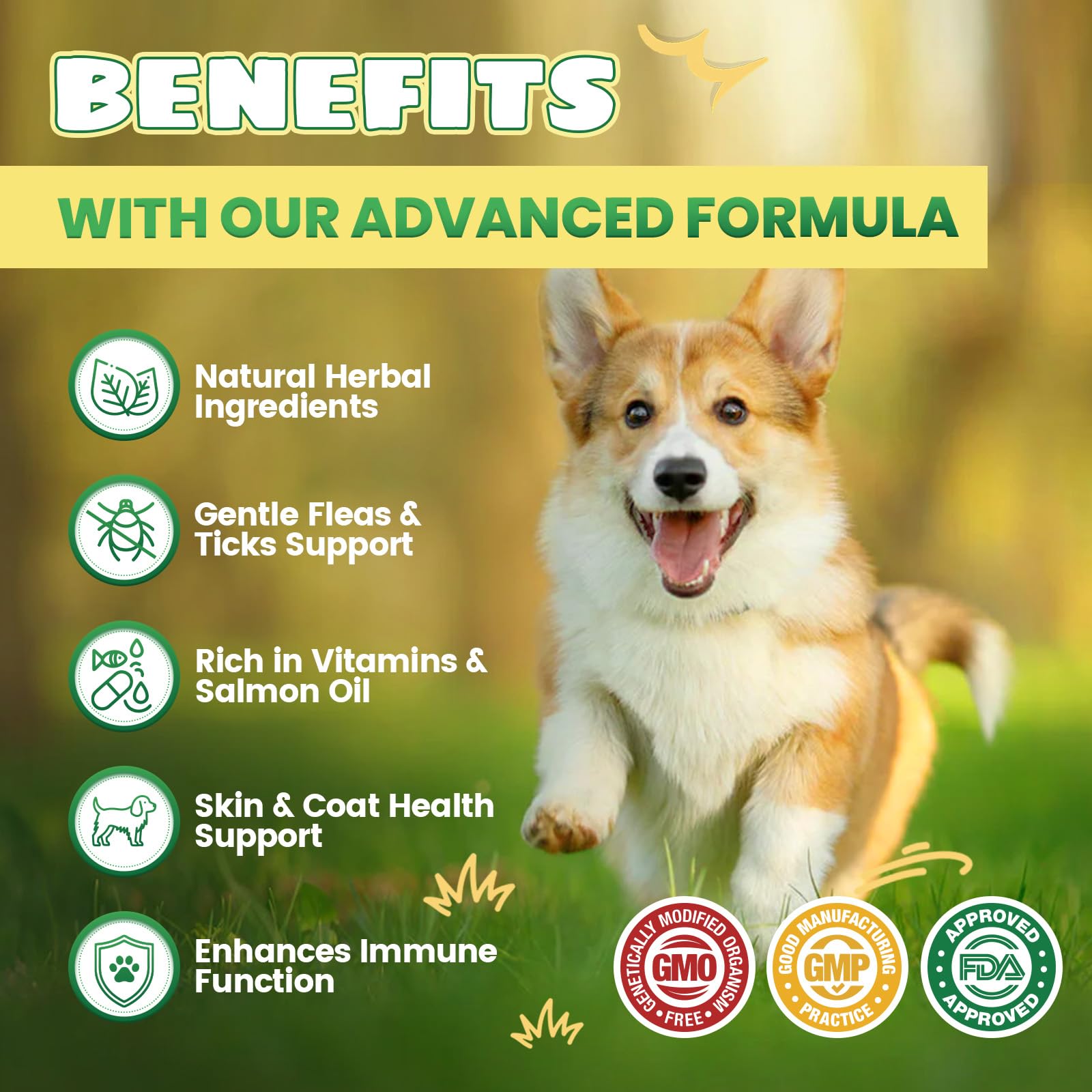 Flea and Tick Prevention for Dogs & Oral Flea & Tick Prevention for Dogs and Cats, with Multivitamin for Pets - Supports Healthy Skin & Coat