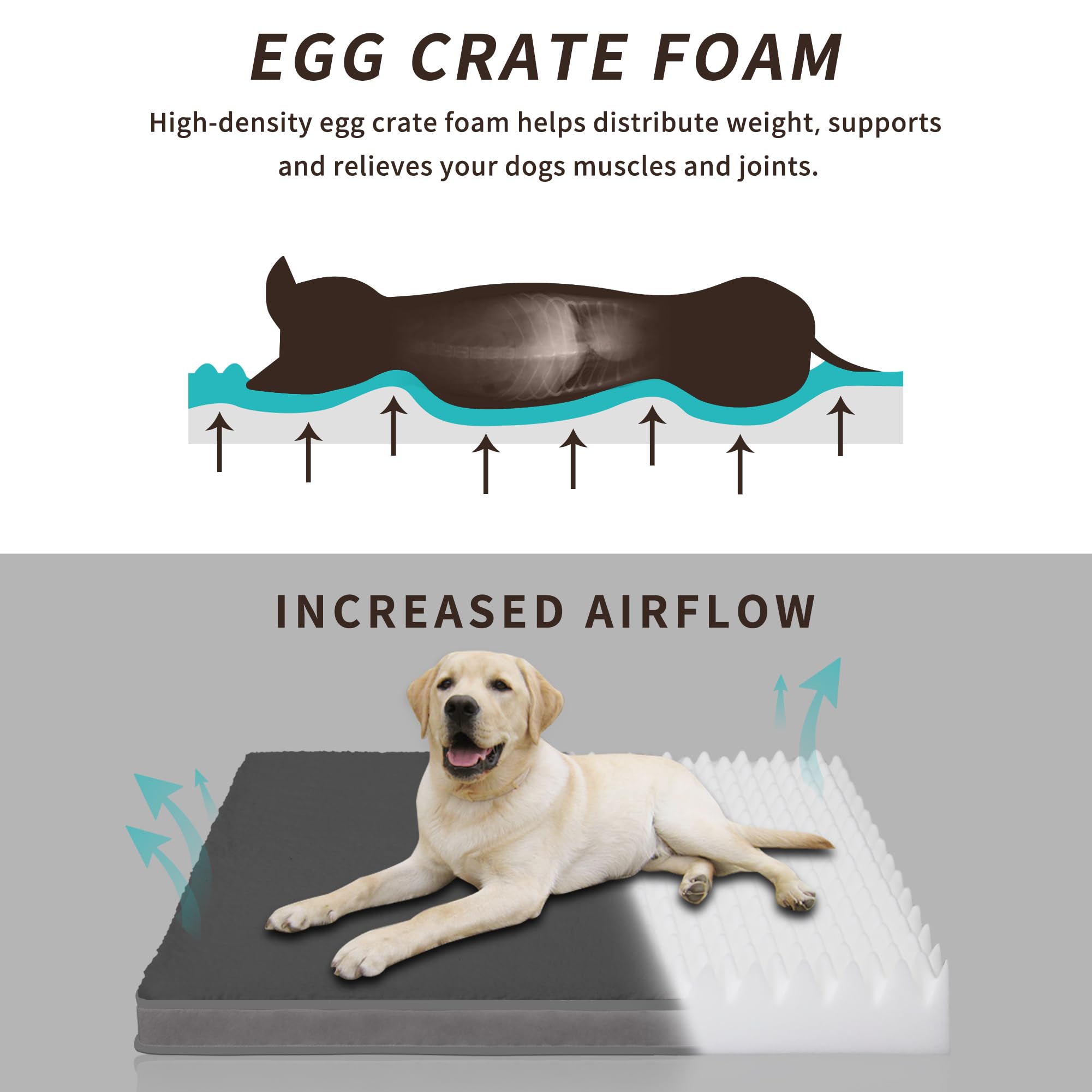 Easy-Going Dog Bed for Large Dogs, Egg Crate Foam Dog Bed with Removable Washable Cover and Non-Slip Bottom, Waterproof and Machine Washable Pet Bed Cover (36x27x3 in, Dark Grey)