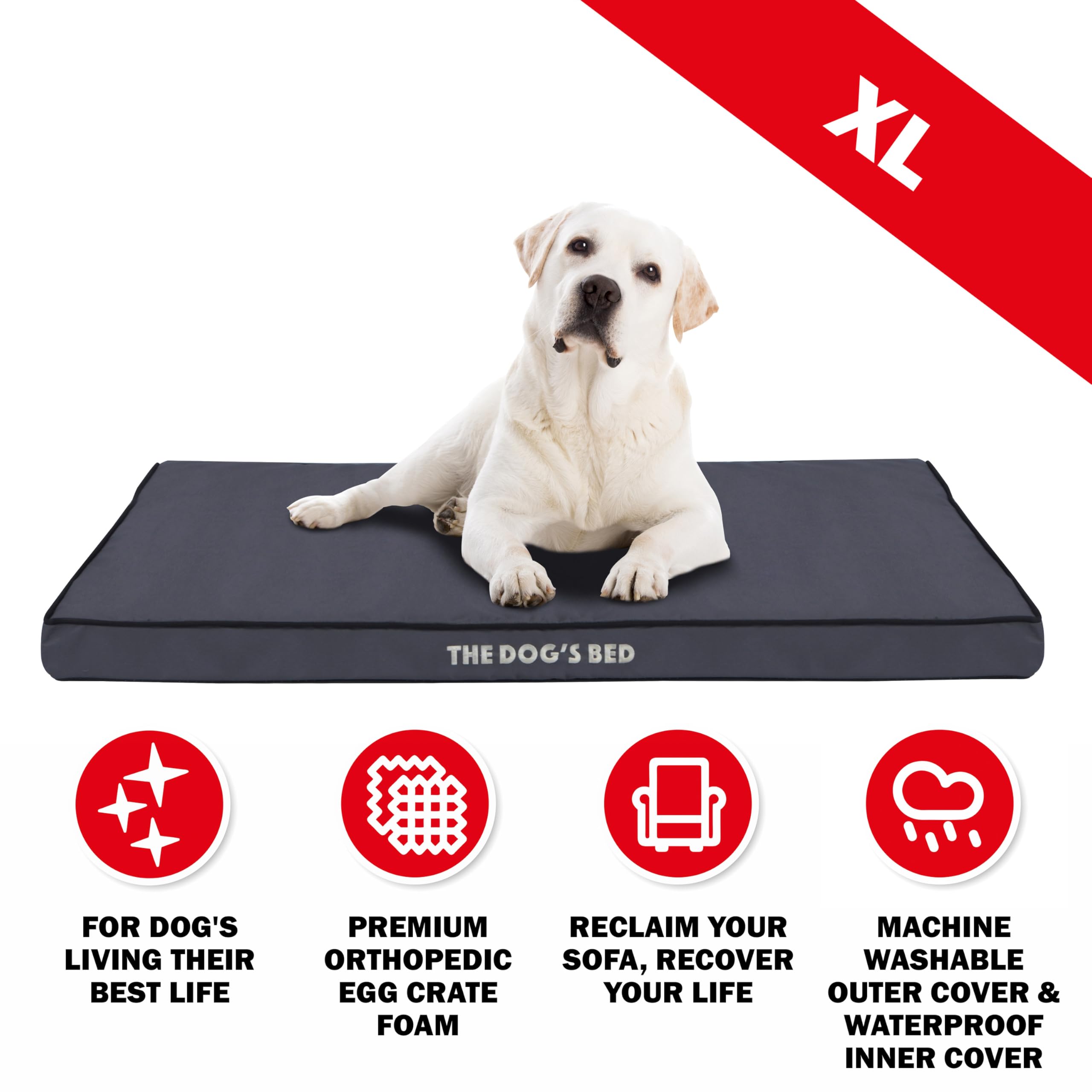 The Dog’s Bed Orthopedic Egg Crate Foam Dog Bed with Standard Support, XL Grey with Black Trim, Waterproof, Supportive Dog Bed with Replaceable Covers, Veterinary Approved