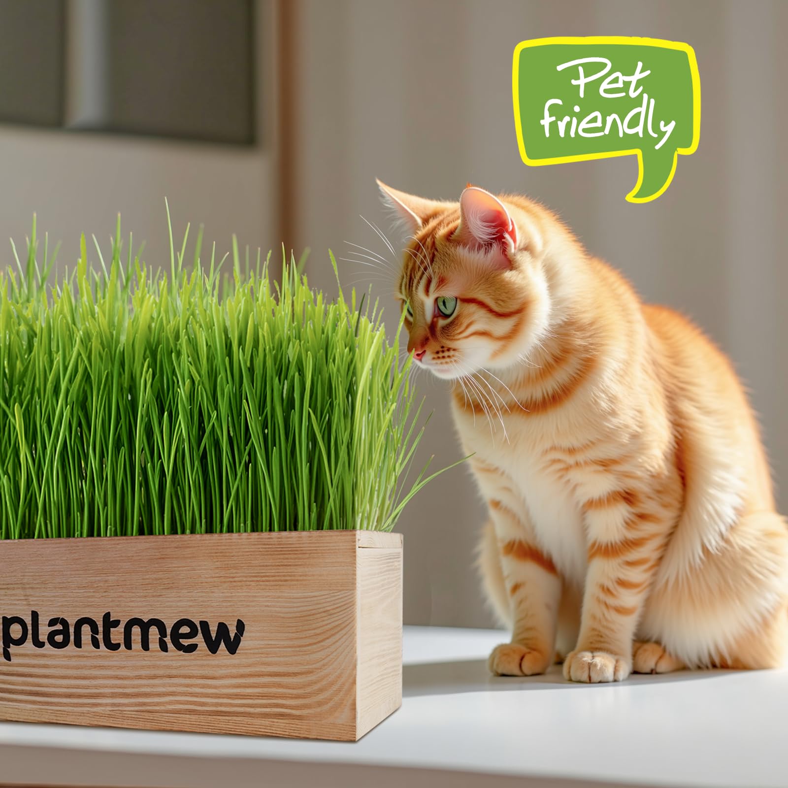 Organic Cat Grass Kit for Indoor Cats - 3 Pack with Cat Grass Seeds, Nutrient Soil & Planter Pots | Complete Growing Set for Fresh Pet Grass (Non-GMO Wheat Grass)