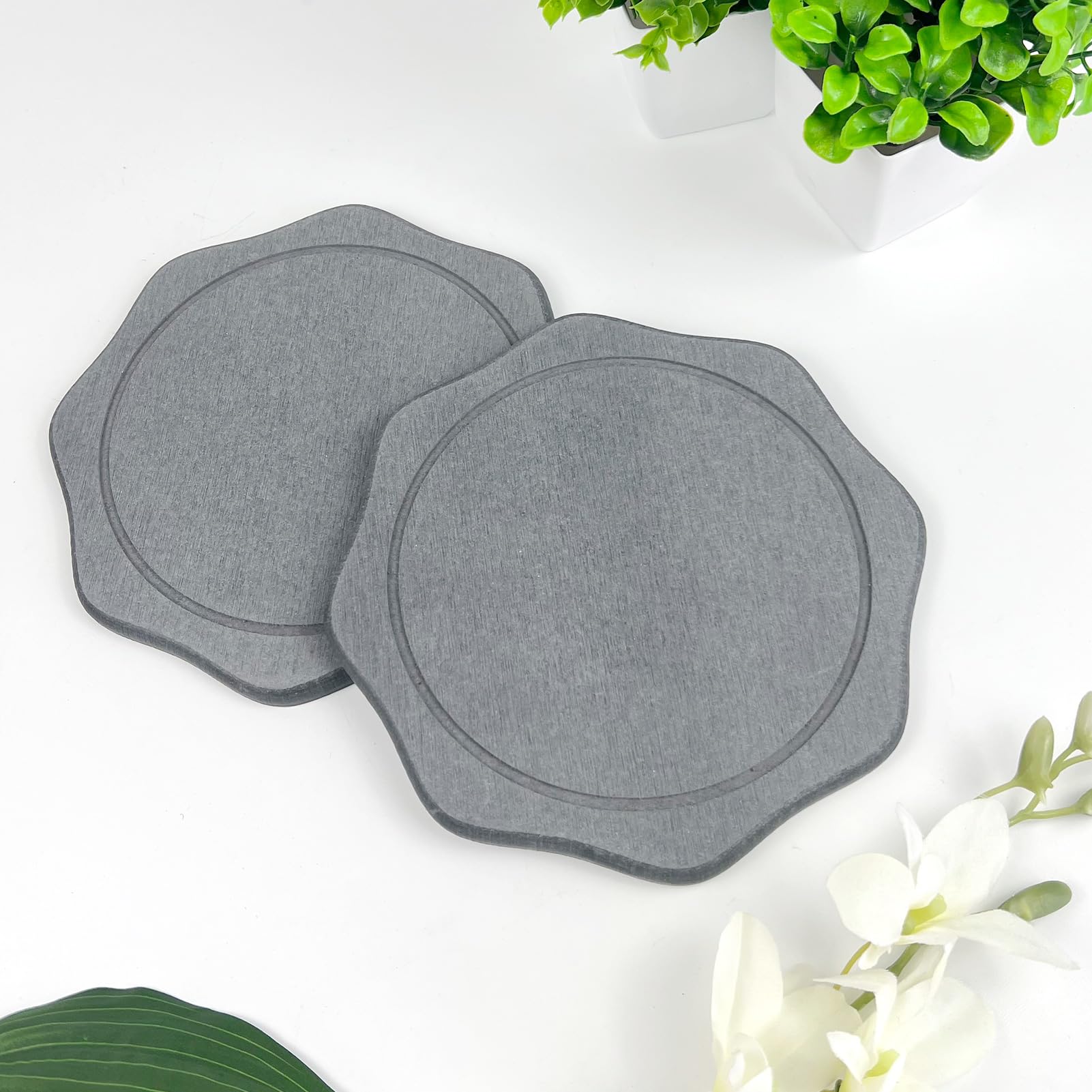 2 PCS Plant Saucers, 8 Inch Diatomaceous Earth Plant Trays for Indoor & Outdoor Use Super Absorbent Plant Trays for Pots Stone Quick Drying Tray Plates Keep Counters and Floors Clean and Dry