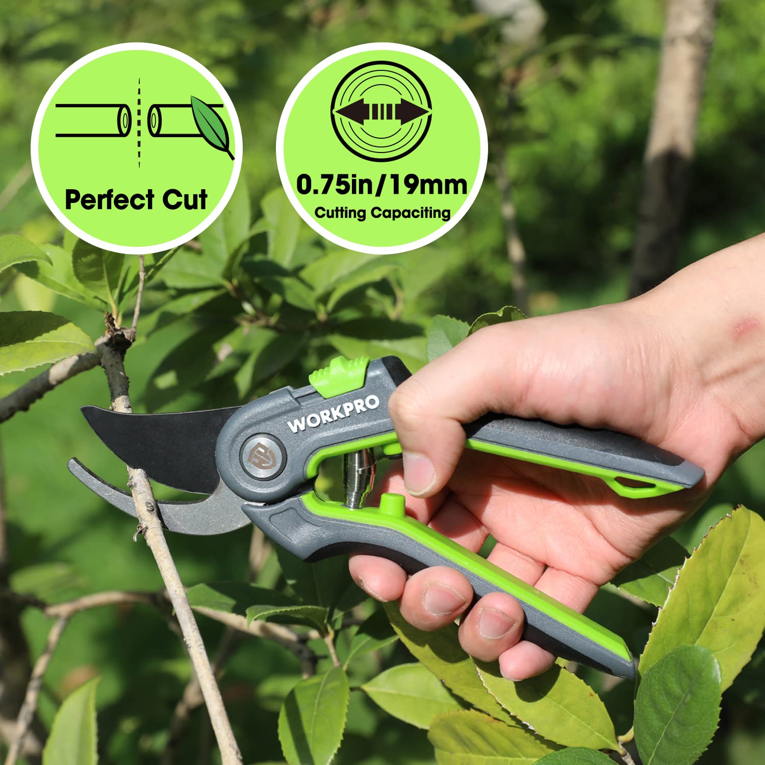 WORKPRO Bypass Pruning Shears, 8’’ Stainless Steel Gardening Hand Pruner, Professional Garden Trimming Scissors with Sharp SK5 Steel Blades, Ideal Garden Tool,Green