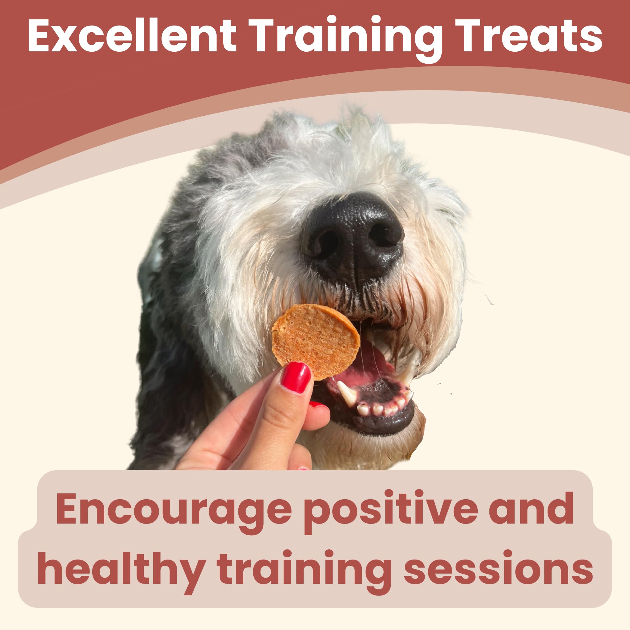 Farm To Pet Training Treats for Dogs - Chicken Chips, Single Ingredient, Lean, All Natural, Healthy Dog Treats for Small, Medium, Large Dog Breeds, & Puppies, Made in USA