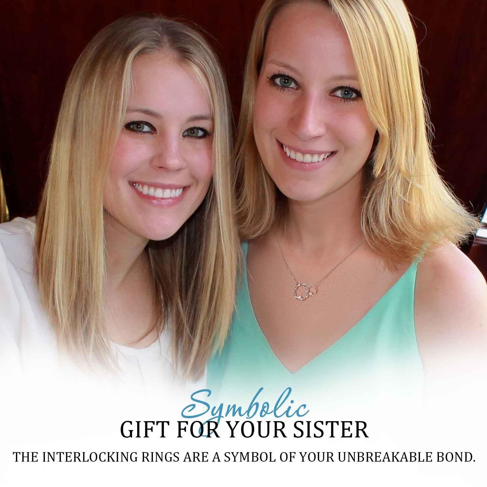 AnalysisyLove Sister Gifts, Sterling Silver Interlocking 2 Circles Necklace Gifts for Sisters, Big Sister Little Sister Gift, Sister Birthday Gifts from Sister