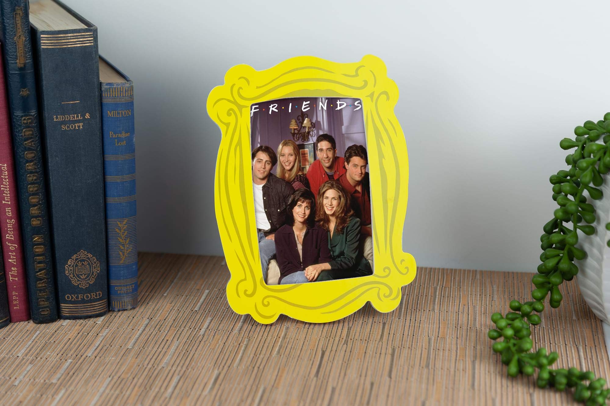 Silver Buffalo Friends Photo Picture Frame, Yellow, 4 x 6 Inches