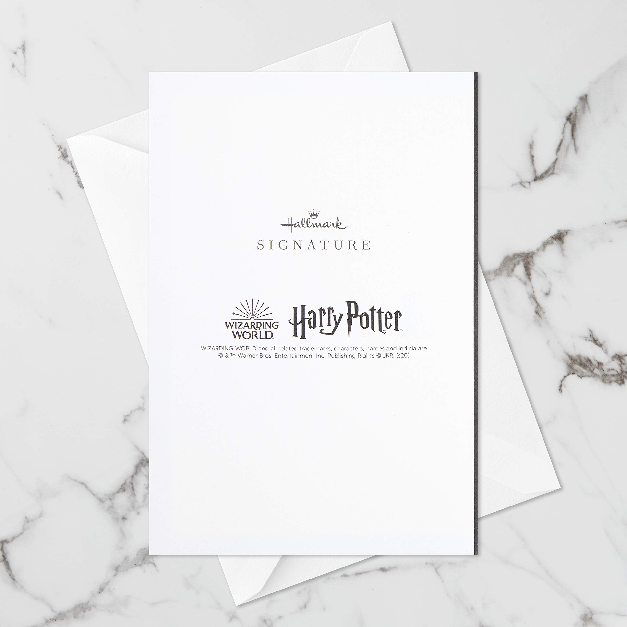 Hallmark Signature Paper Wonder Harry Potter Pop Up Holiday Card (Hogwarts Express)