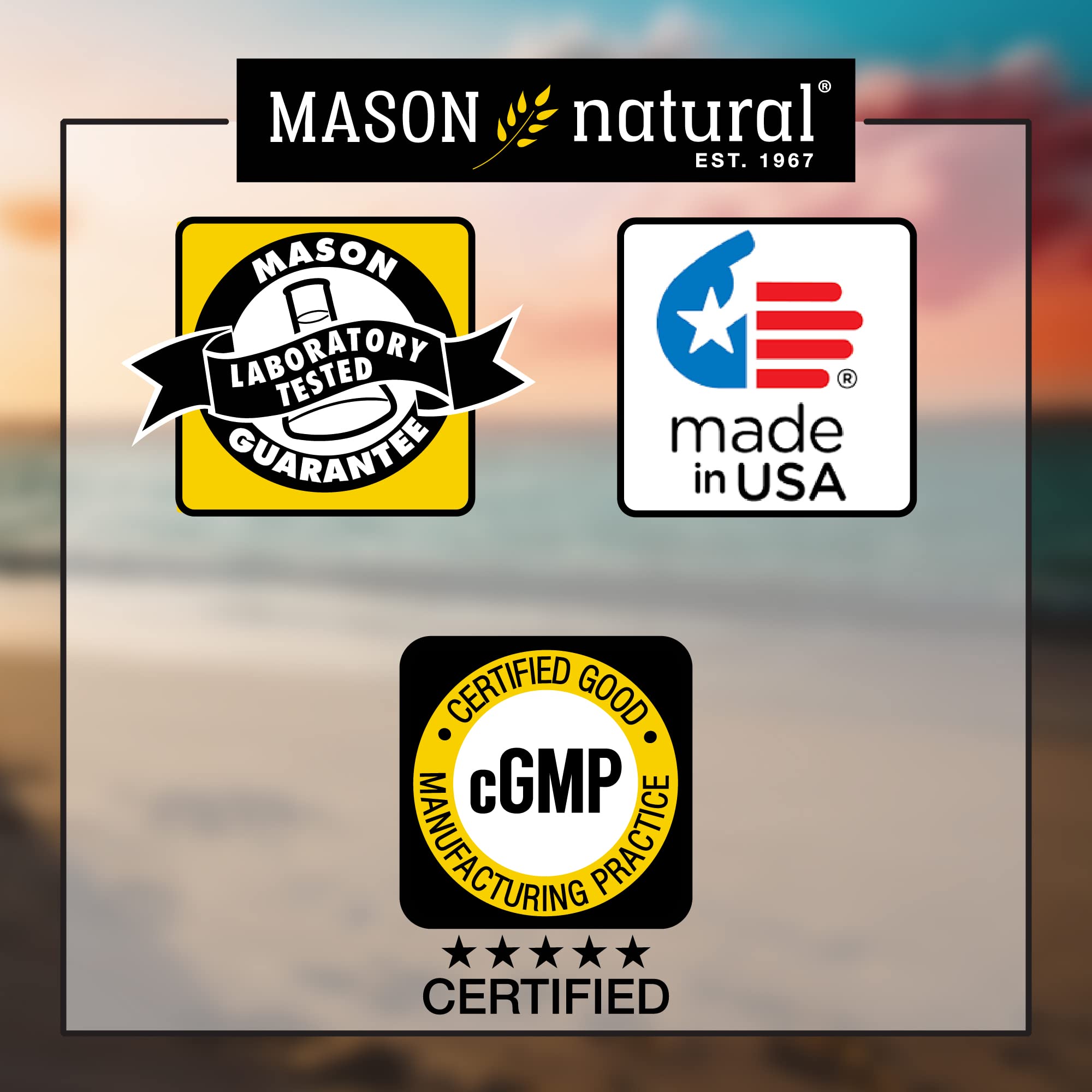 MASON NATURAL Cinnamom 1000 mg Natural Dietary Supplement Capsules, 100 Ea