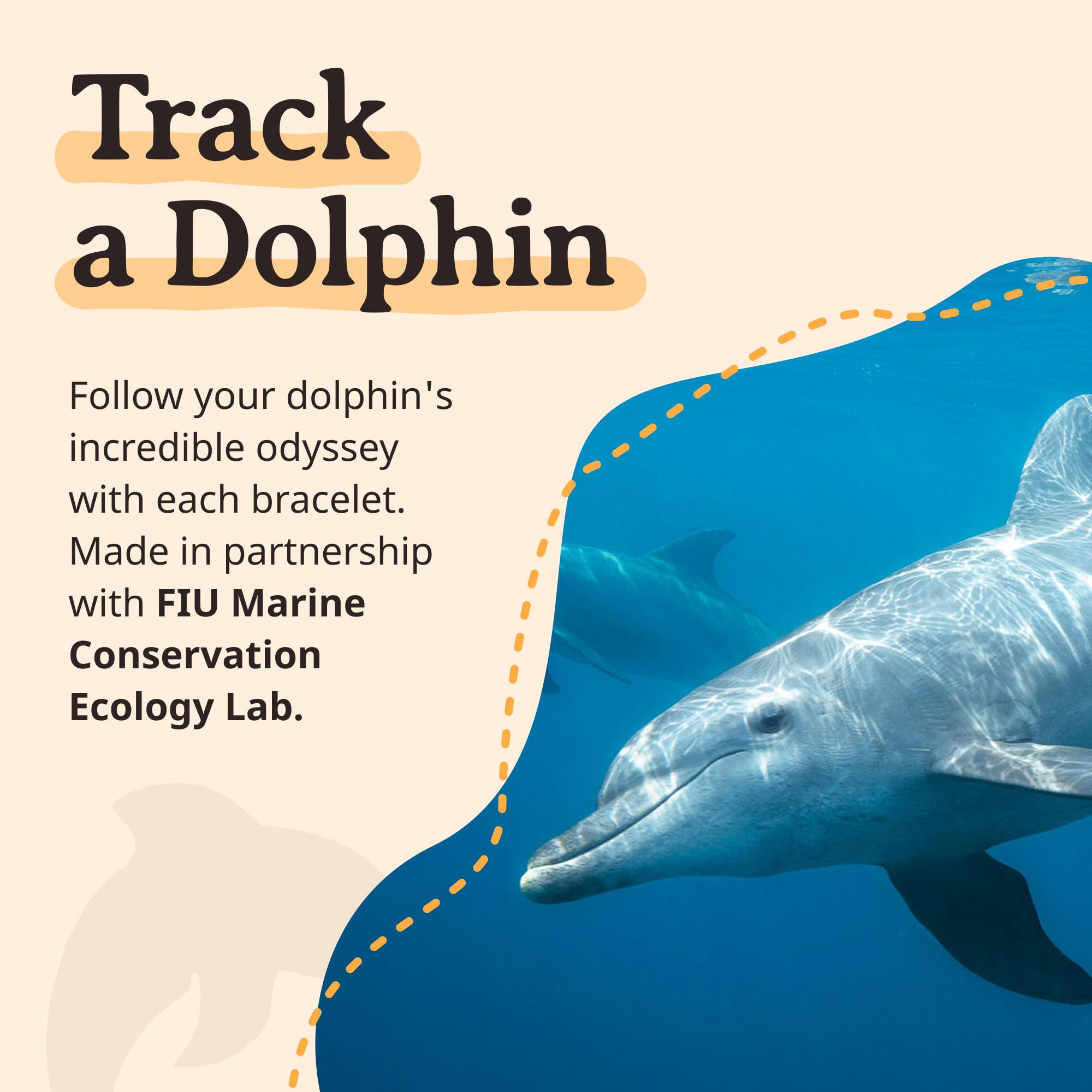 Fahlo Dolphin Tracking Bracelet, Elastic, supports FIU Marine Conservation, one size fits most for Men and Women (Seafoam)