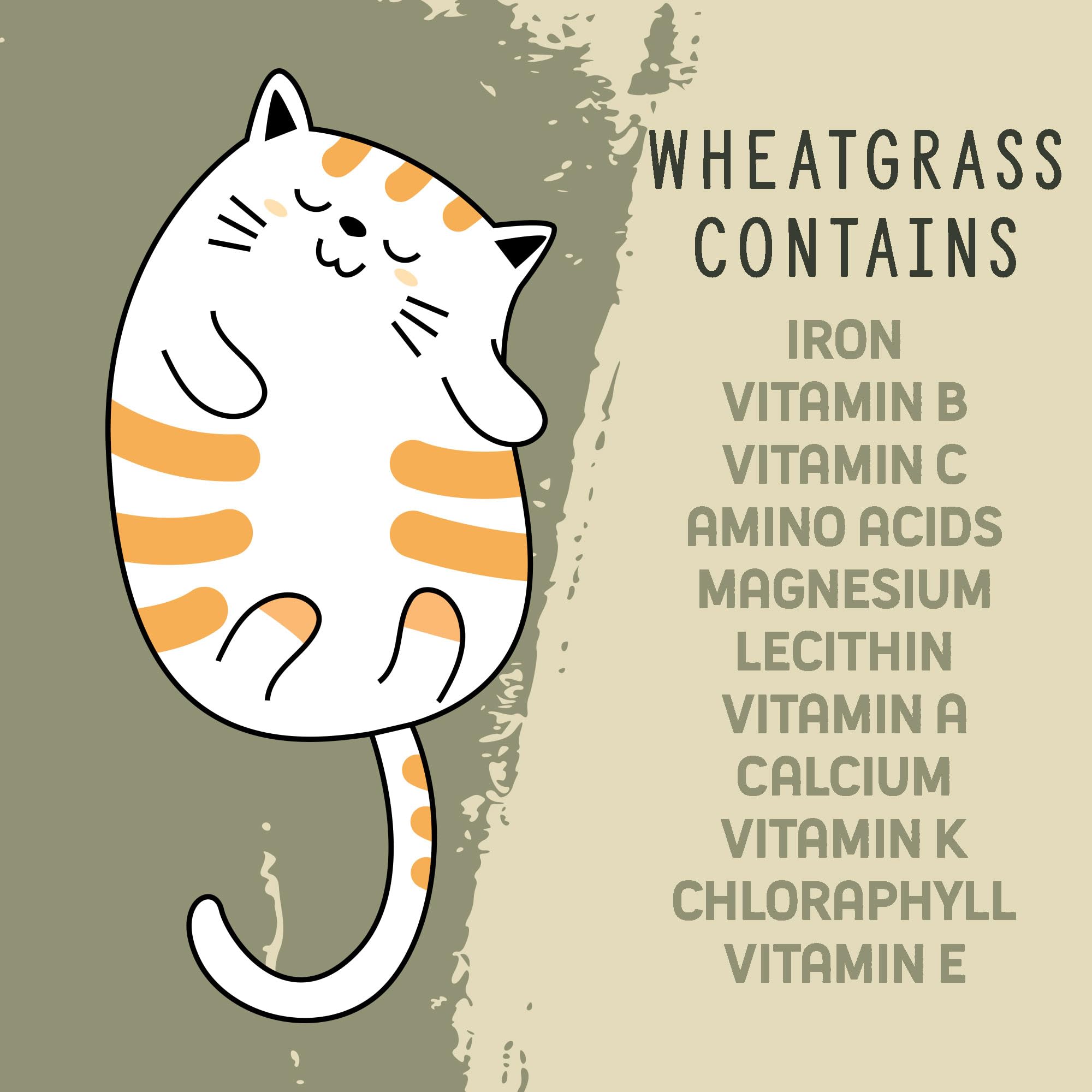 Organic Wheatgrass Cat Grass Premium Grow Kit 4 Pack | 100 % Wheatgrass Seeds Non‑GMO Seeds for Cats & Humans