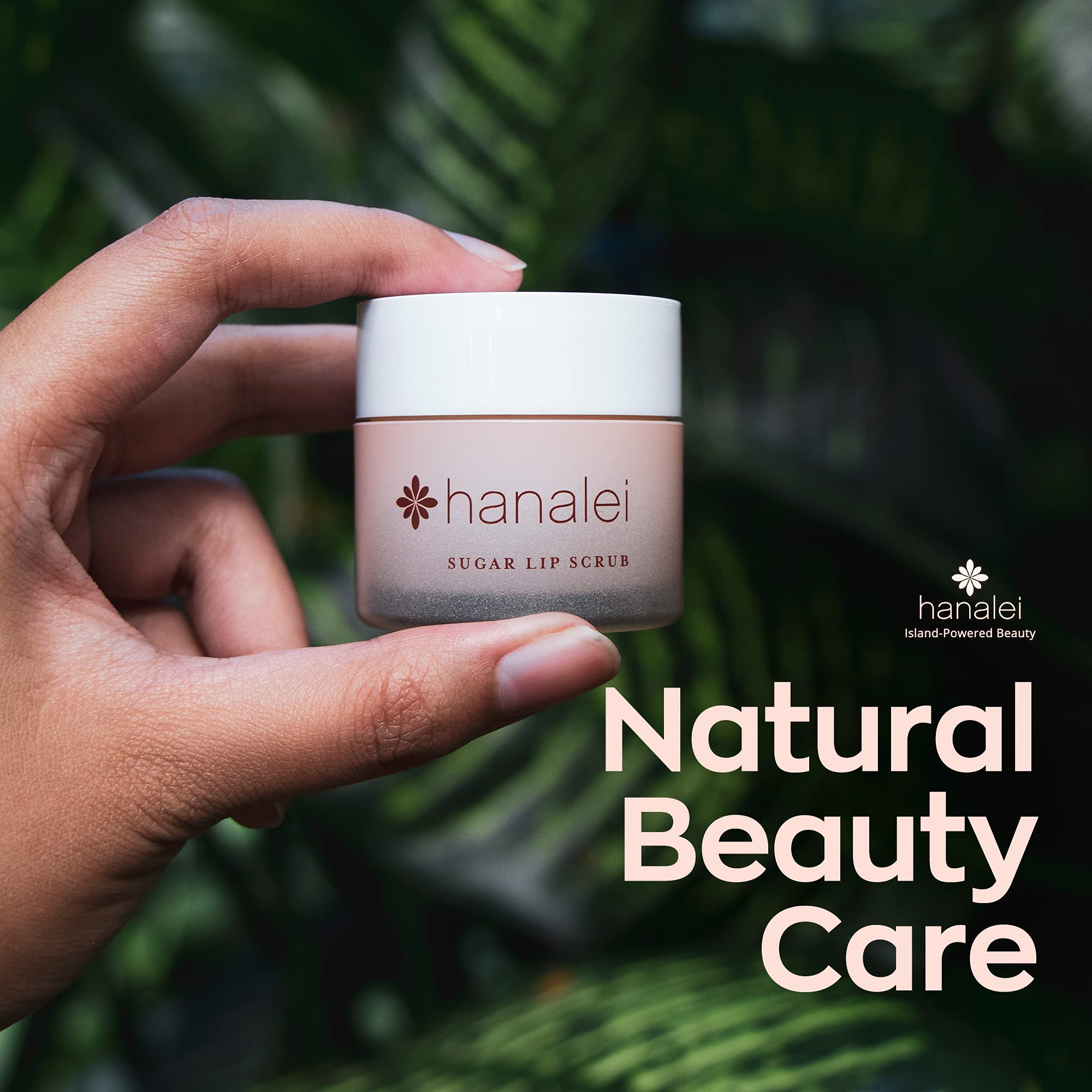 Hanalei Lip Care Bundle - Sugar Lip Scrub and Kukui Oil Lip Treatment in Clear