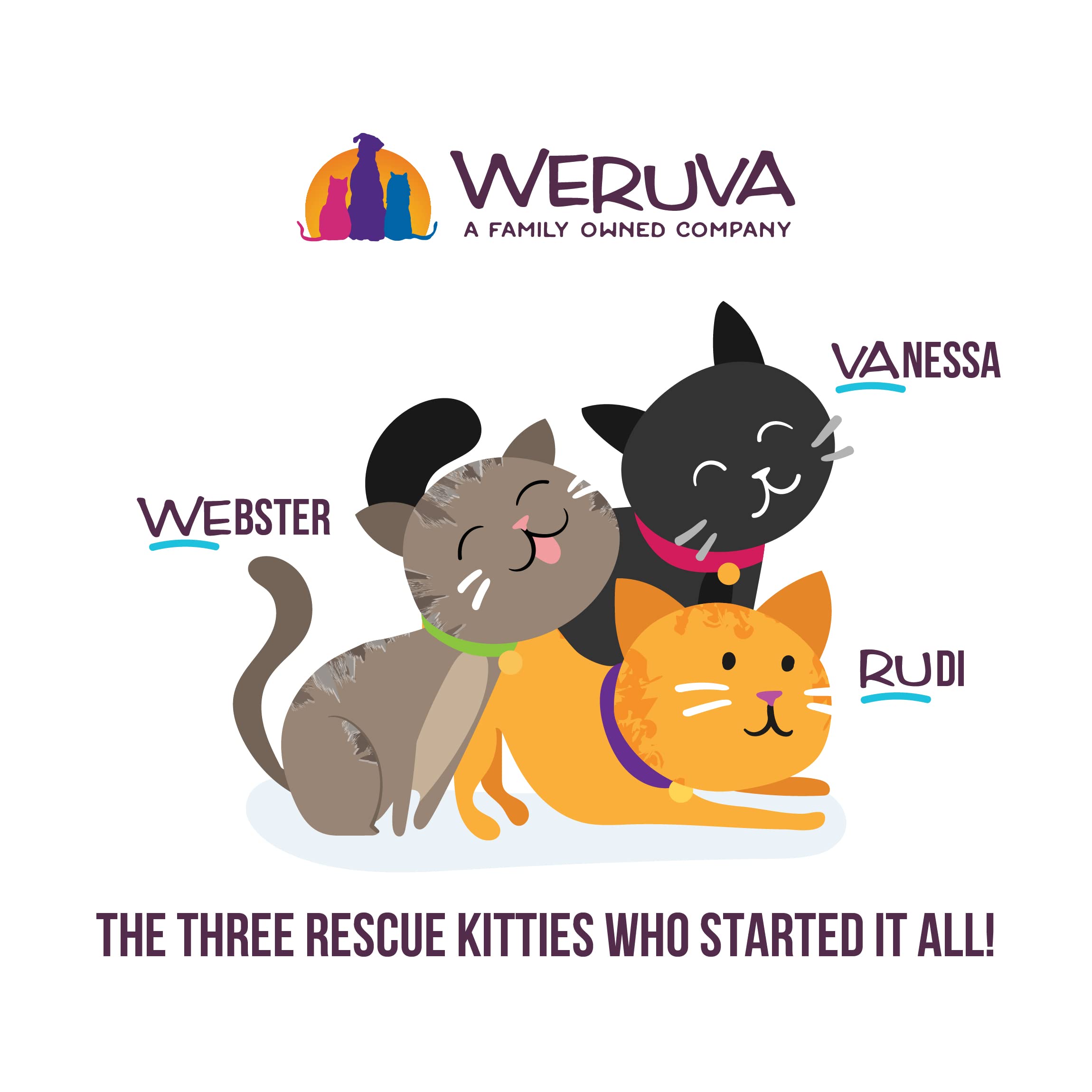 Weruva B.F.F. OMG - Best Feline Friend Oh My Gravy!, Best Day Eva! with Beef & Salmon in Gravy Cat Food, 2.8oz Can (Pack of 12)