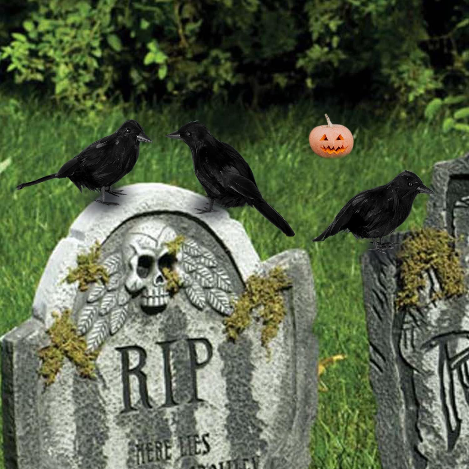 JOYIN 6 Pcs Crow Raven Halloween Decoration Indoor Outdoor Decor, Black Fake Crows Ravens Bird Props Haunted House Graveyard Cemetery Yard Table Decor Halloween Party Favors Desk Trees Walls Windows