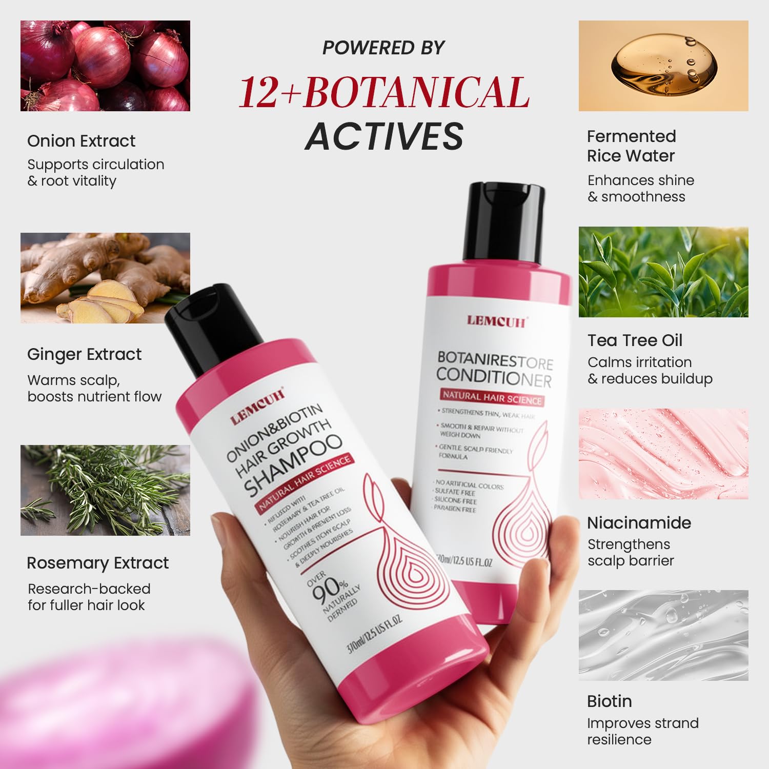 Onion Shampoo and Conditioner For Hair Growth - Onion Hydrosol Shampoo Duo With Biotin, Rosemary For Thinning and Healthier Thicker hair - Paraben Free, Nourishing, Safe for Sensitive Scalp