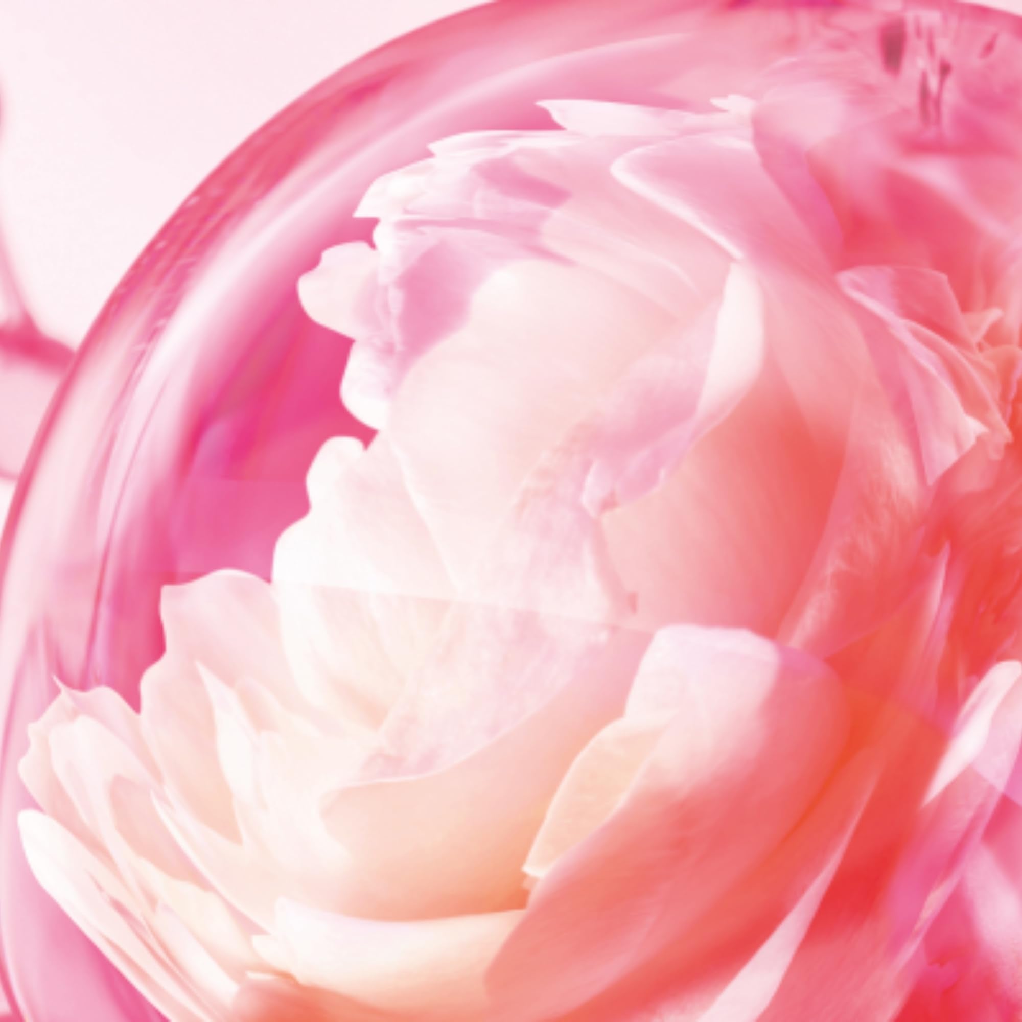 Charlotte Tilbury Love Frequency Eau De Parfum - Emotion-Boosting Floral Perfume Enriched with Naturally-Derived Oils - Long-Lasting Scent with Notes of Patchouli Musk & Rose (10ml)