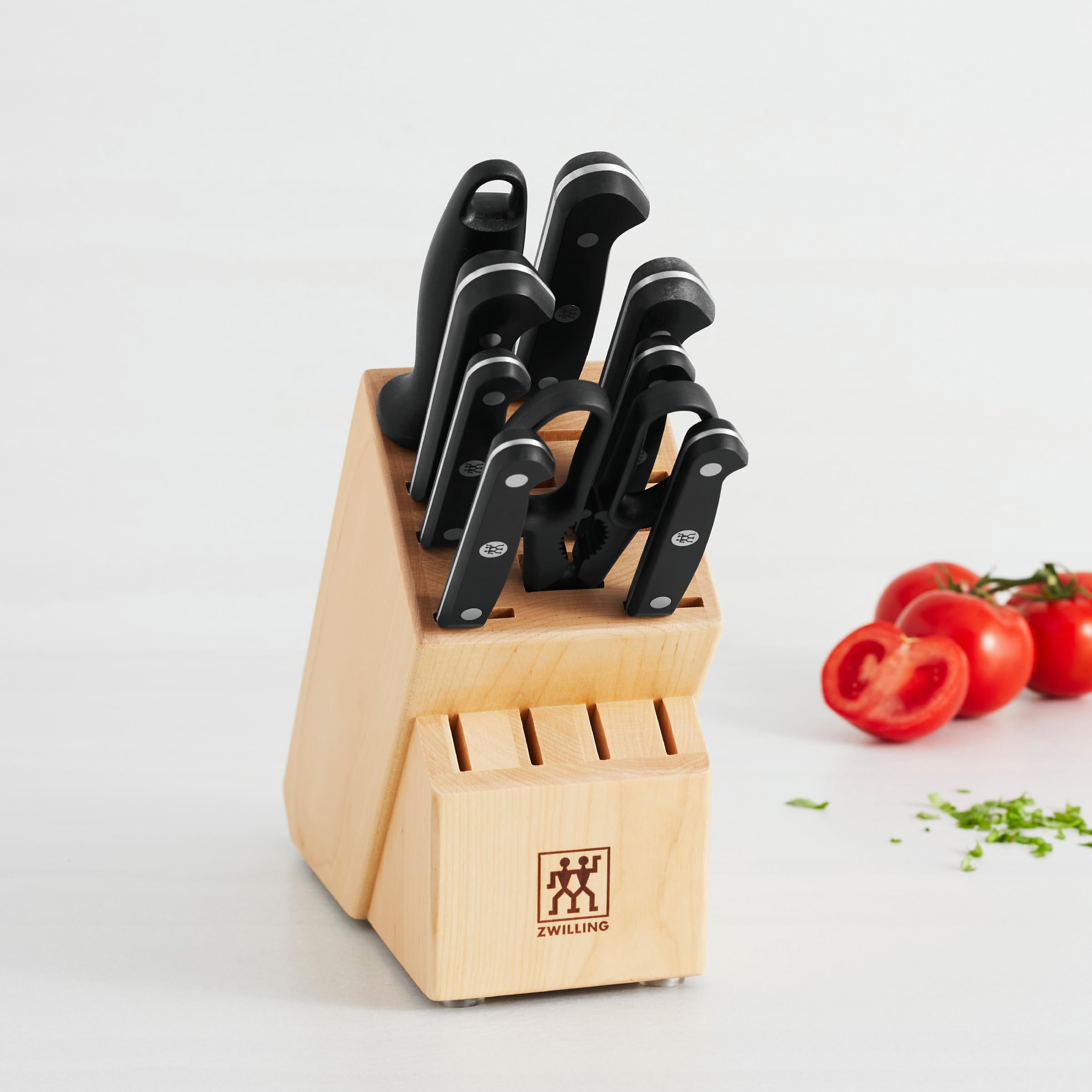 ZWILLING Gourmet 10-pc Knife Block Set