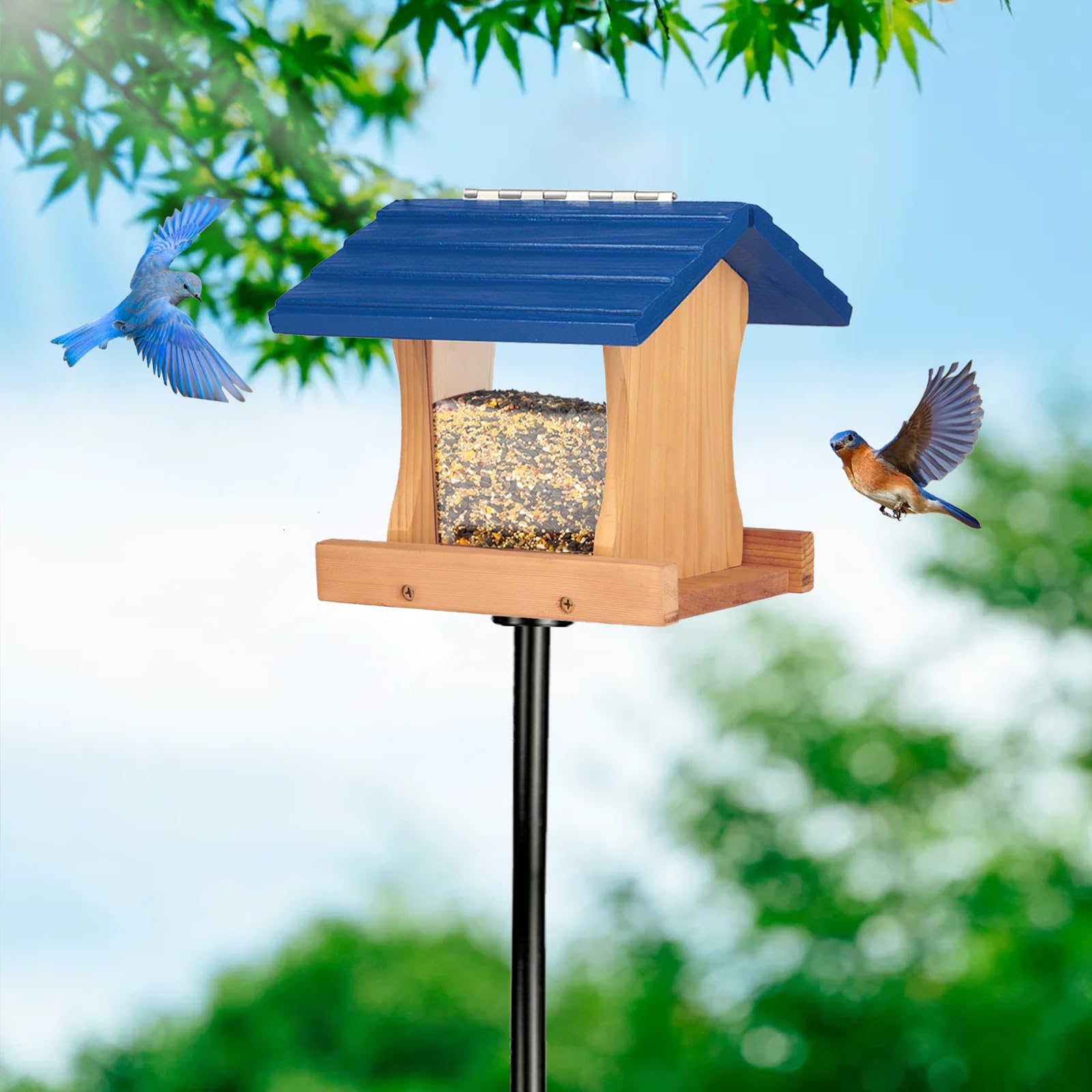 Ranch Hopper Bird Feeders for Outside Extra Thickness 13/16", Bird Feeder Kit for Kids to Build - Alaskan Red Cedar Wood Birdhouse Building with Hanging Cable, Paints and Brushes -Patented