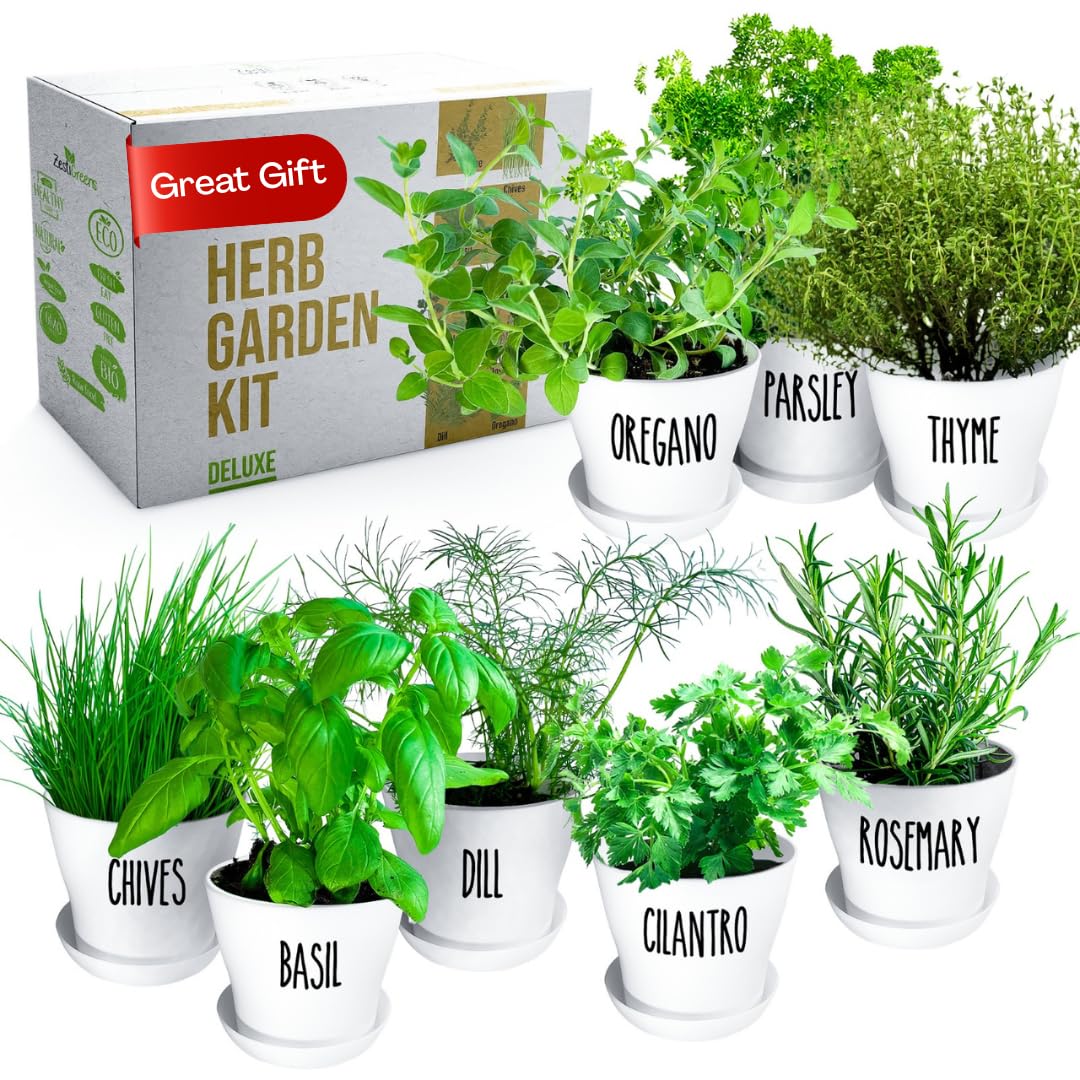 Deluxe Indoor & Outdoor Herb Garden Kit – 8 or The Most Popular Culinary Herbs with Pots & Soil for Windowsill or Patio Growing