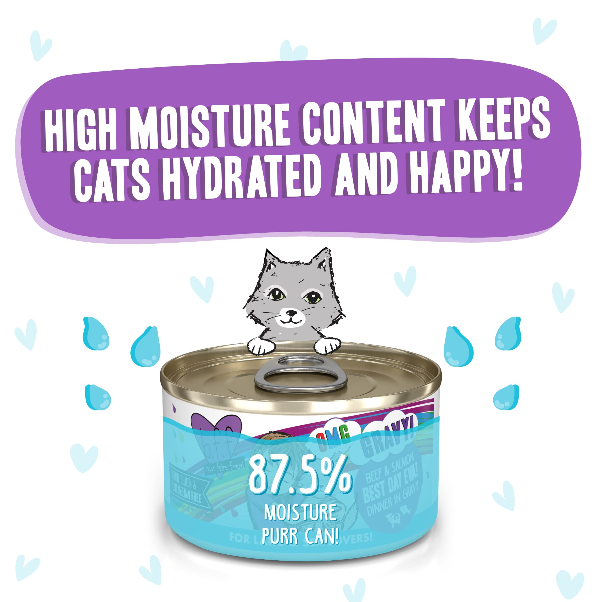 Weruva B.F.F. OMG - Best Feline Friend Oh My Gravy!, Best Day Eva! with Beef & Salmon in Gravy Cat Food, 2.8oz Can (Pack of 12)