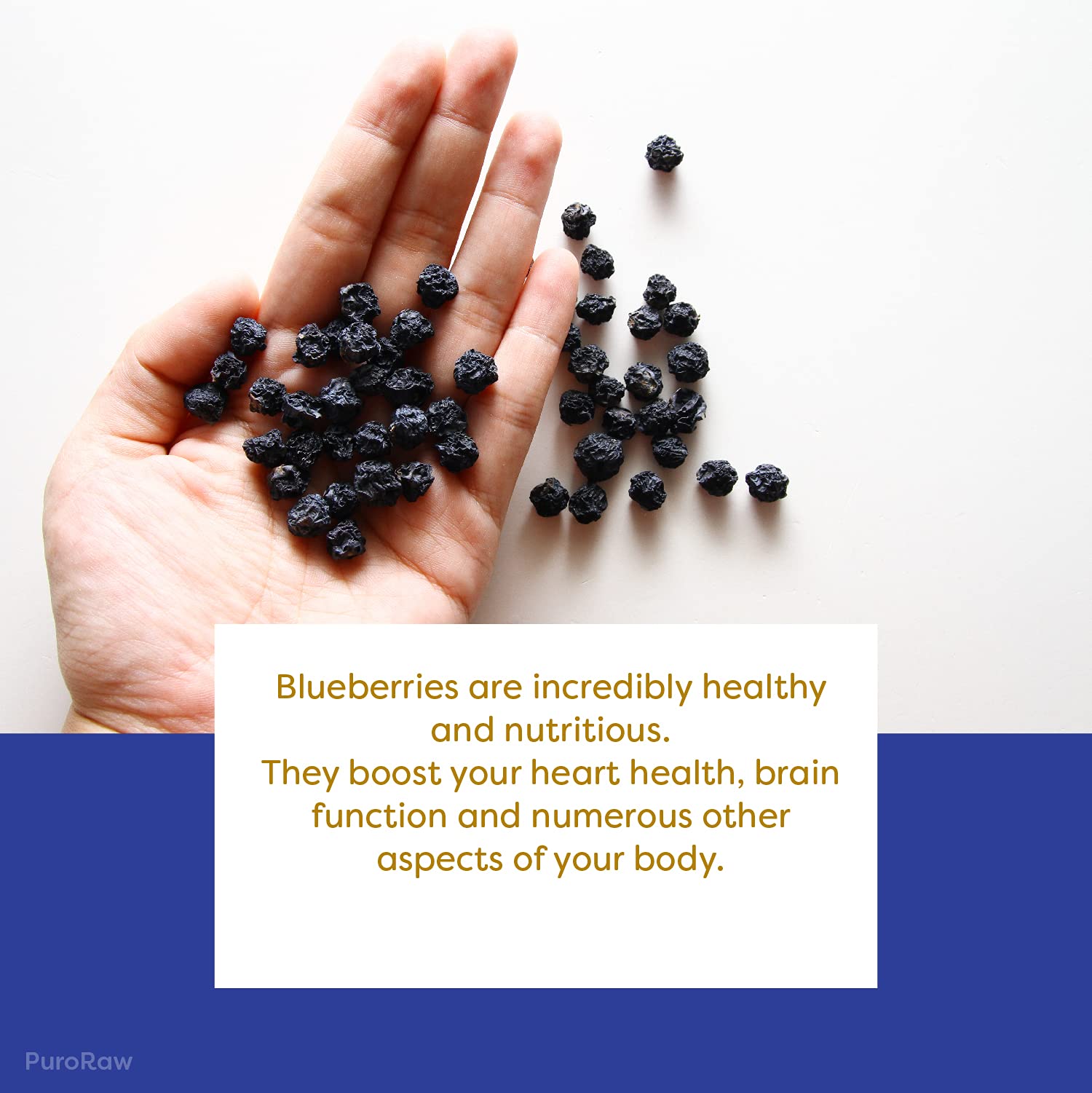 PuroRaw Dried Blueberries No Sugar Added, 2 lbs. Blue Berries Fruit, Dehydrated Blueberries Fresh Dried Blueberries Bulk, Blueberry Raisins. All Natural, Non-GMO, Batch Tested, 2 pounds