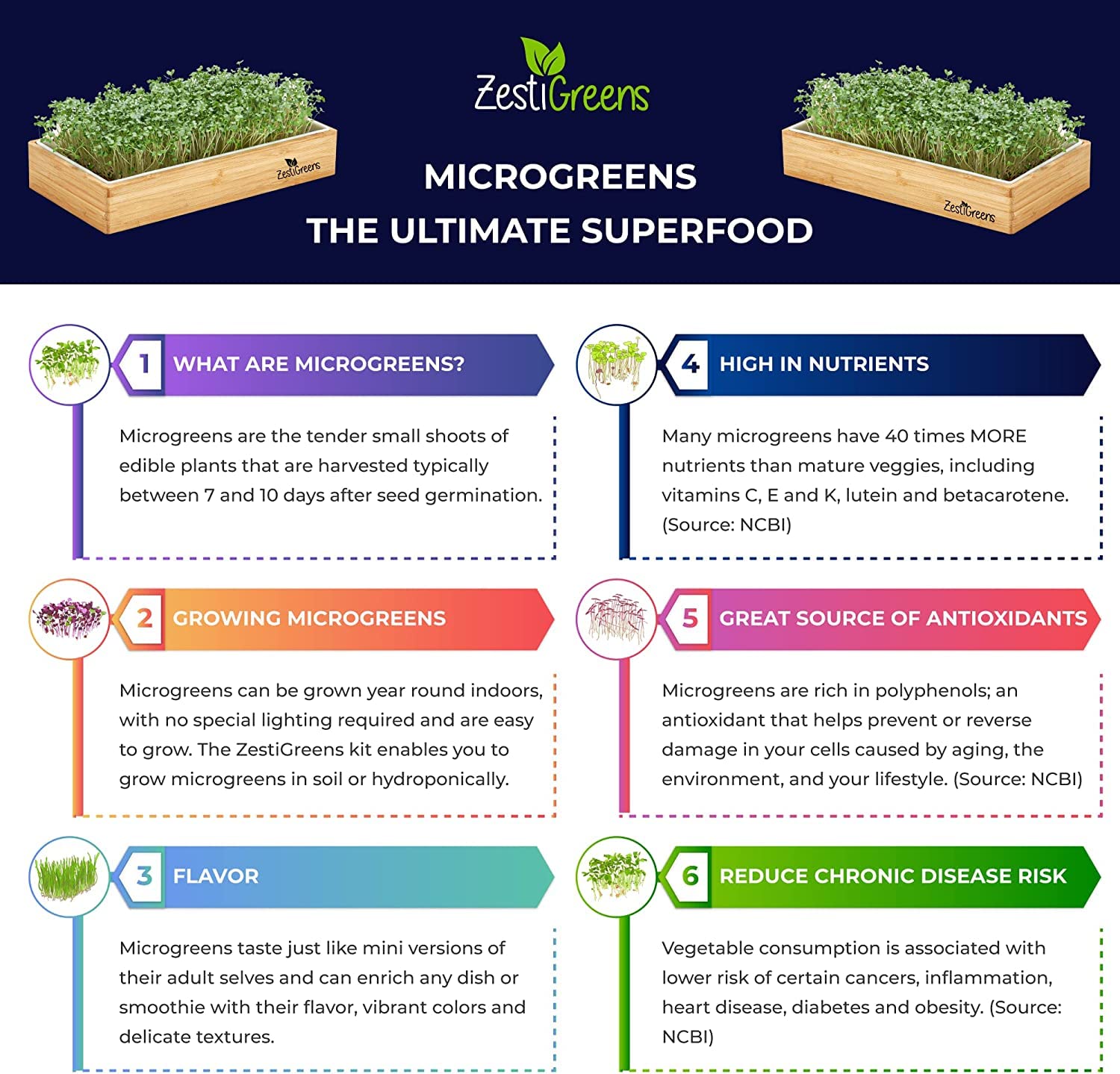 ZESTIGREENS Microgreens & 9 Seed Mat Refill