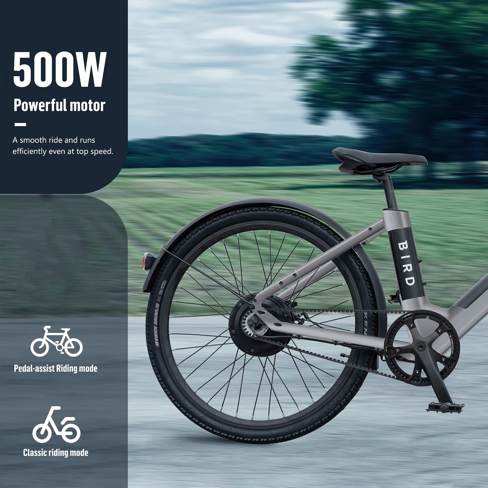 Bird Electric Bike for adults 500W Motor, 20MPH EBike woman with 36V Removable Battery- LCD Display, Disc Brake, 26" Tire, manual throttle, Carbon Belt Drive, Adults Electric Commuting Bicycle Gray