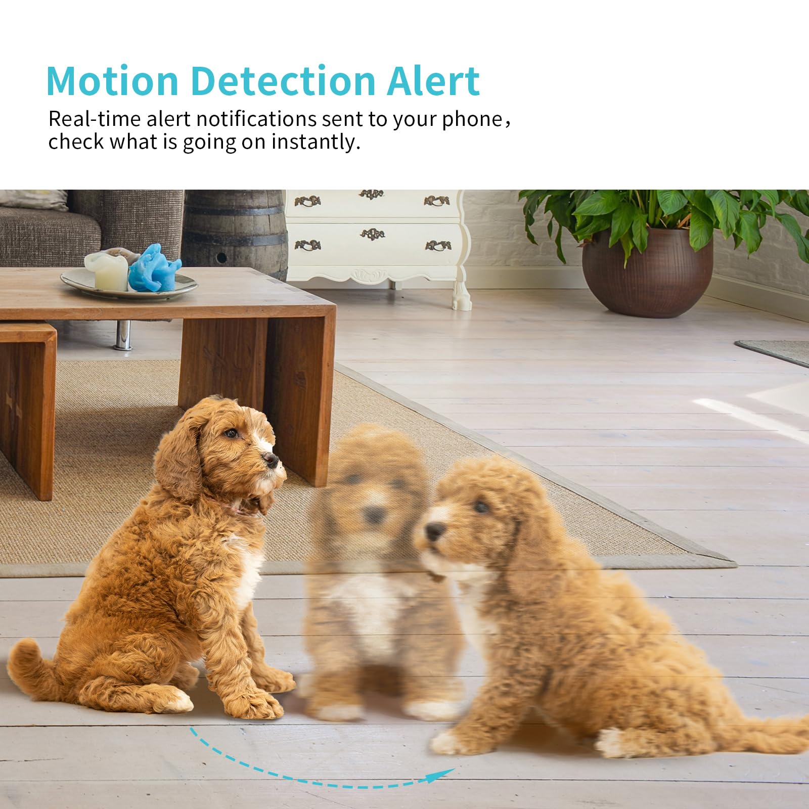 Pet Camera, 2K HD Dog Camera with Phone APP, 360° Pan/Tilt View Puppy Cam, One Click Call for Baby Monitor, MagivPix Night Vision,Motion Tracking Alarm with Cloud/Local SD,Home Indoor Security Cam