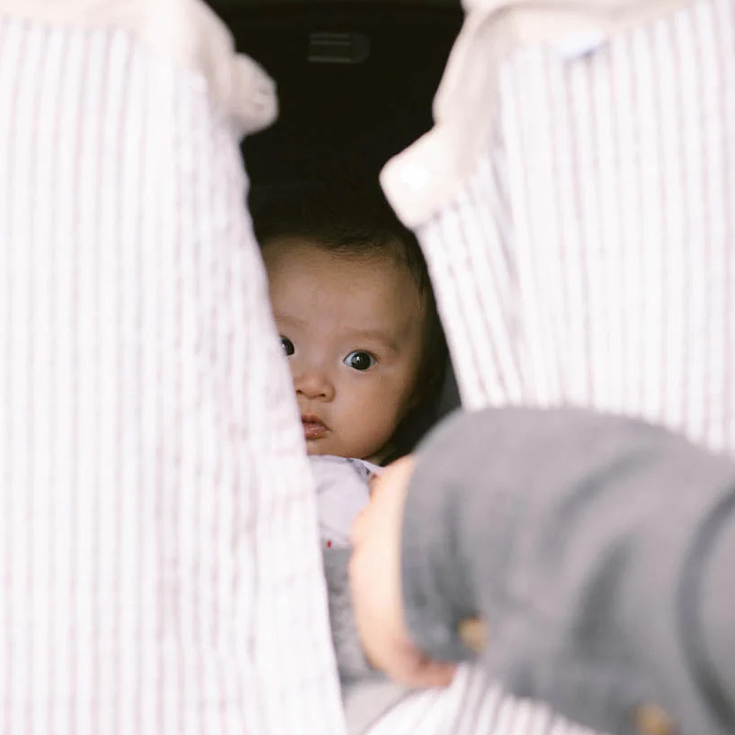 Little Unicorn 100% Cotton Muslin Car Seat Canopy | Super Soft Lightweight Cover with Window | Breathable | Magnetic Closure | Baby and Infant | Machine Washable | Shower Gift (Grey Stripe)