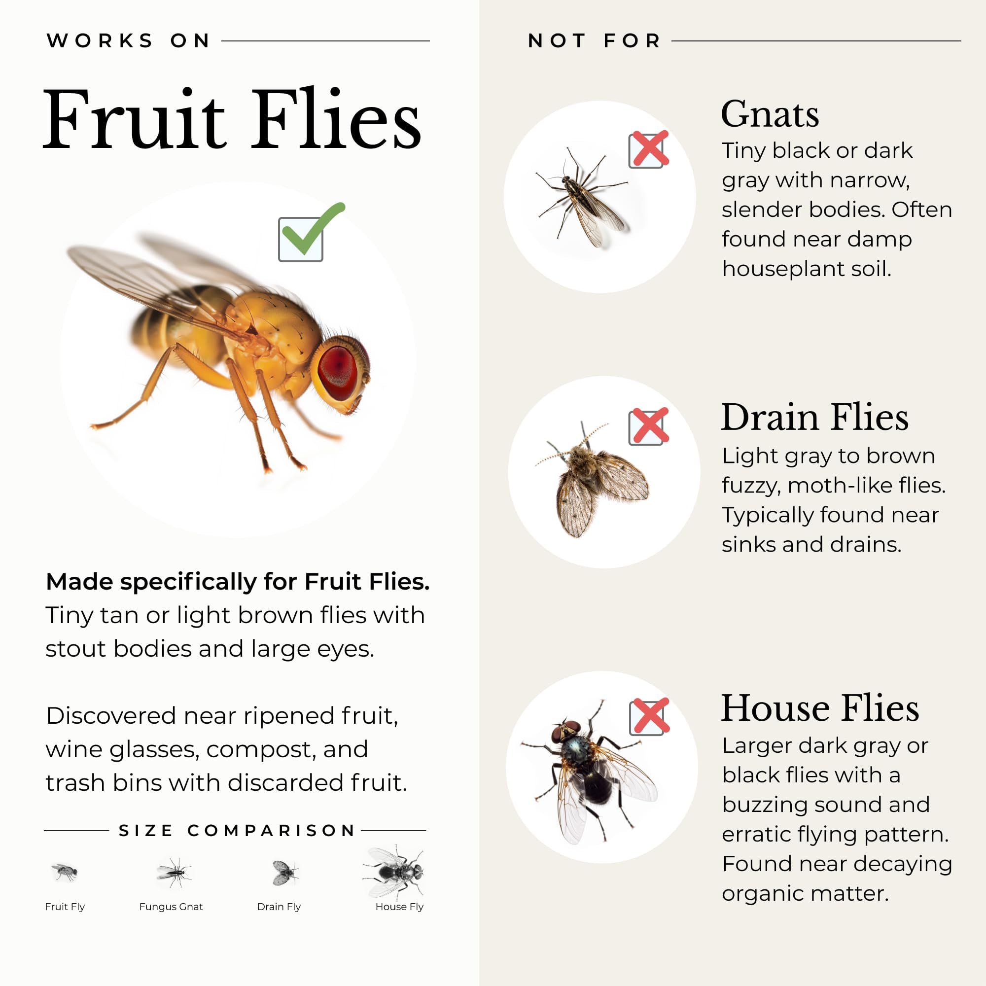 Wondercide - Fruit Fly Trap for Kitchen, Home, and Indoor Areas - Fruit Fly Killer - Pet and People Safe - Made in USA & Plant Based - 5.4 oz - 2 Pack