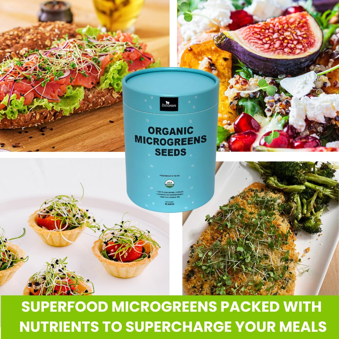 Superfood Microgreen Seeds Mix x 1lb. Non GMO Organic Broccoli, Kale, Kohlrabi, Arugula & Cabbage Seeds in Food Grade tin for Easier scooping & Keeping Fresher.