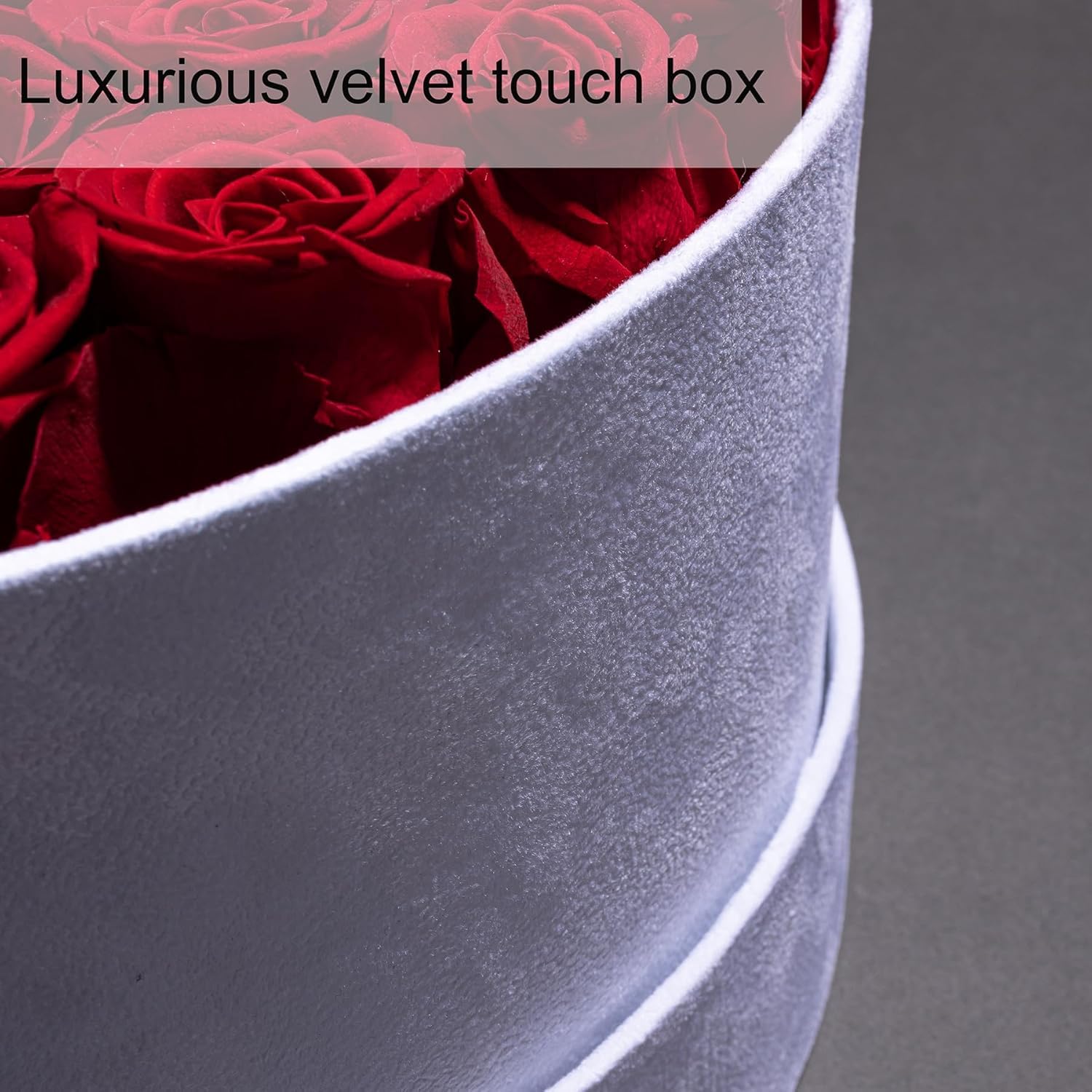 Luxury Preserved Roses Gifts for Women, 100 Roses in Velvet Box, Flowers for Delivery, Presereved Flowers Birthday Gifts for Mom and Wife (Royal Blue)