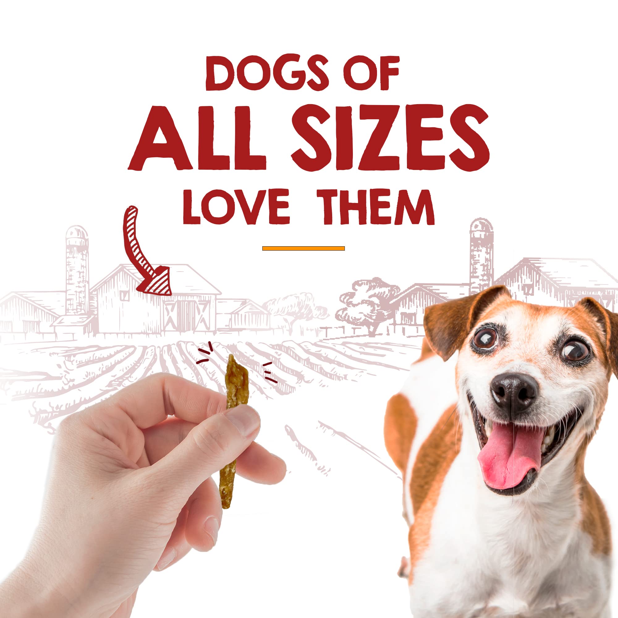 Riley's Chicken Strips for Dogs - USA Sourced Single Ingredient Dog Treat -Dehydrated Real Meat Dog Treats Natural Chicken Sticks Dog Jerky Treats - 6 oz