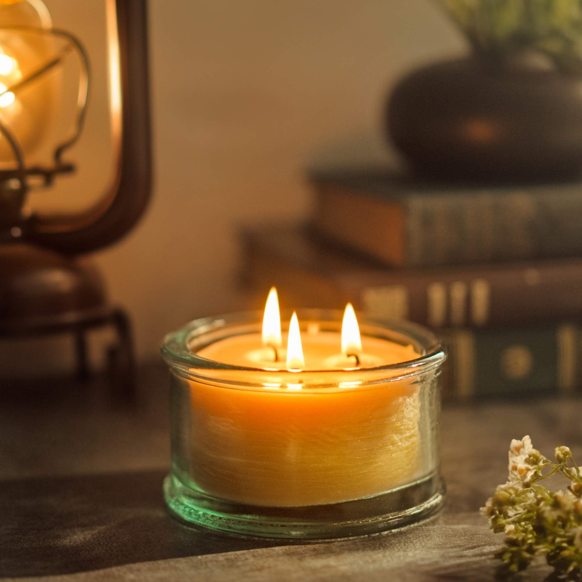 Bluecor Botanica Beeswax Candle: 3-Wick Scented Candle Handmade with Pure Beeswax and Tangerine & Geranium Essential Oils