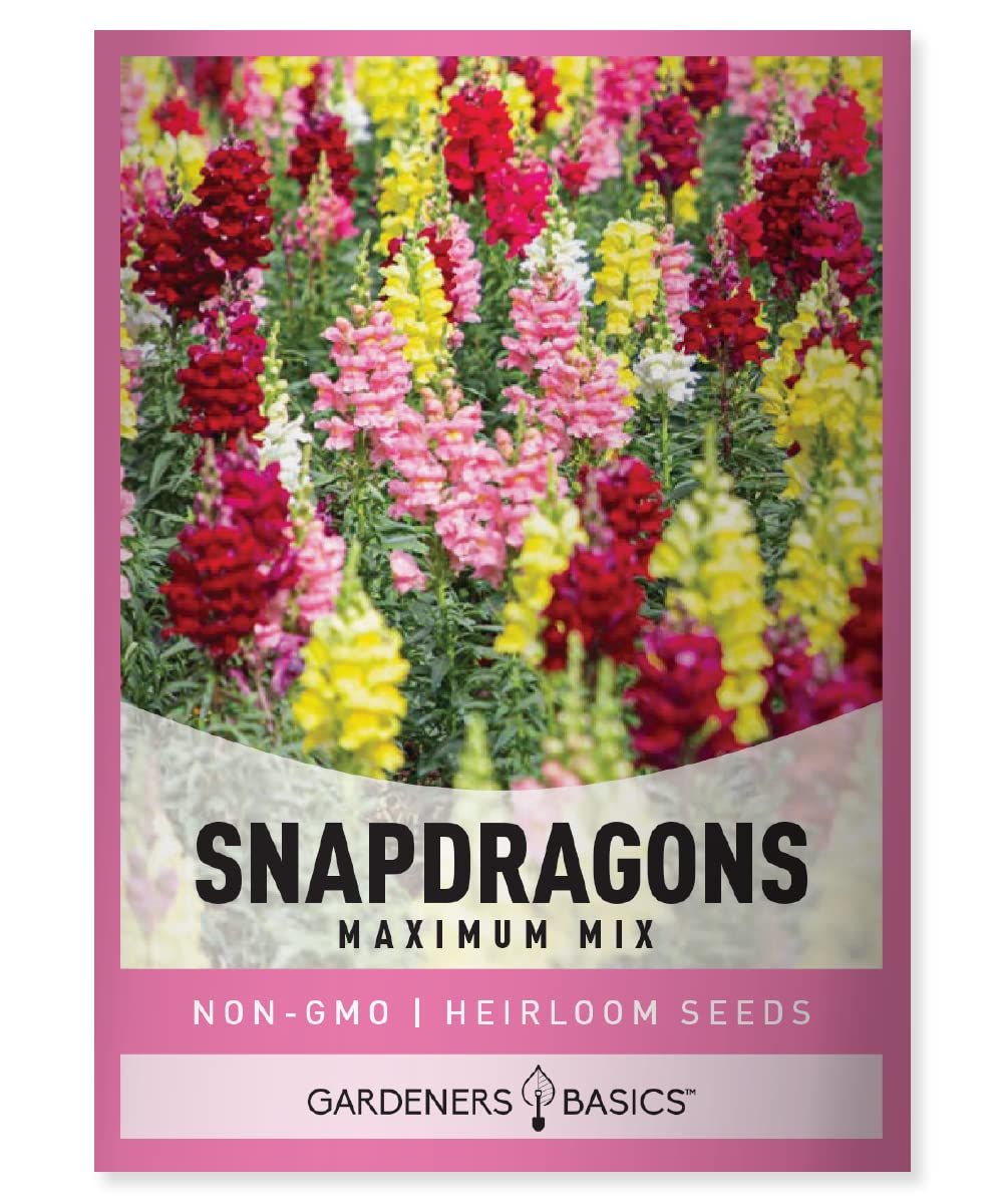 Gardeners Basics, Snapdragon Seeds for Planting (Maximum Mix Snap Dragon) Annual Flower Heirloom, Non-GMO Variety- 400mg Seeds Great for Summer Seeds for Gardening Flowers Gardens