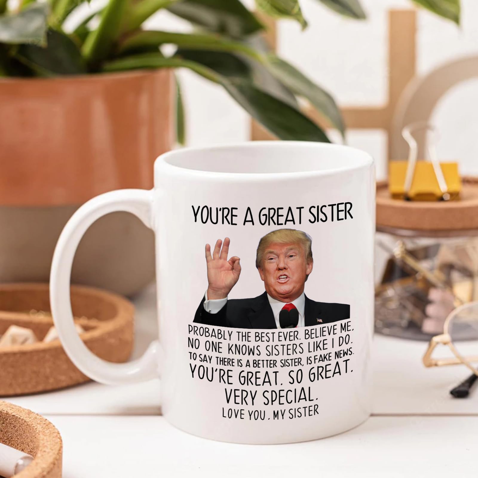 Aurahouse You're A Great Sister Mug, Funny Sister Gifts from Sister Brother, Sister Birthday Gifts, Christmas Gifts, Valentines Day, Mothers Day Gifts for Sister-in-law, Soul Sister 11 Oz Cup