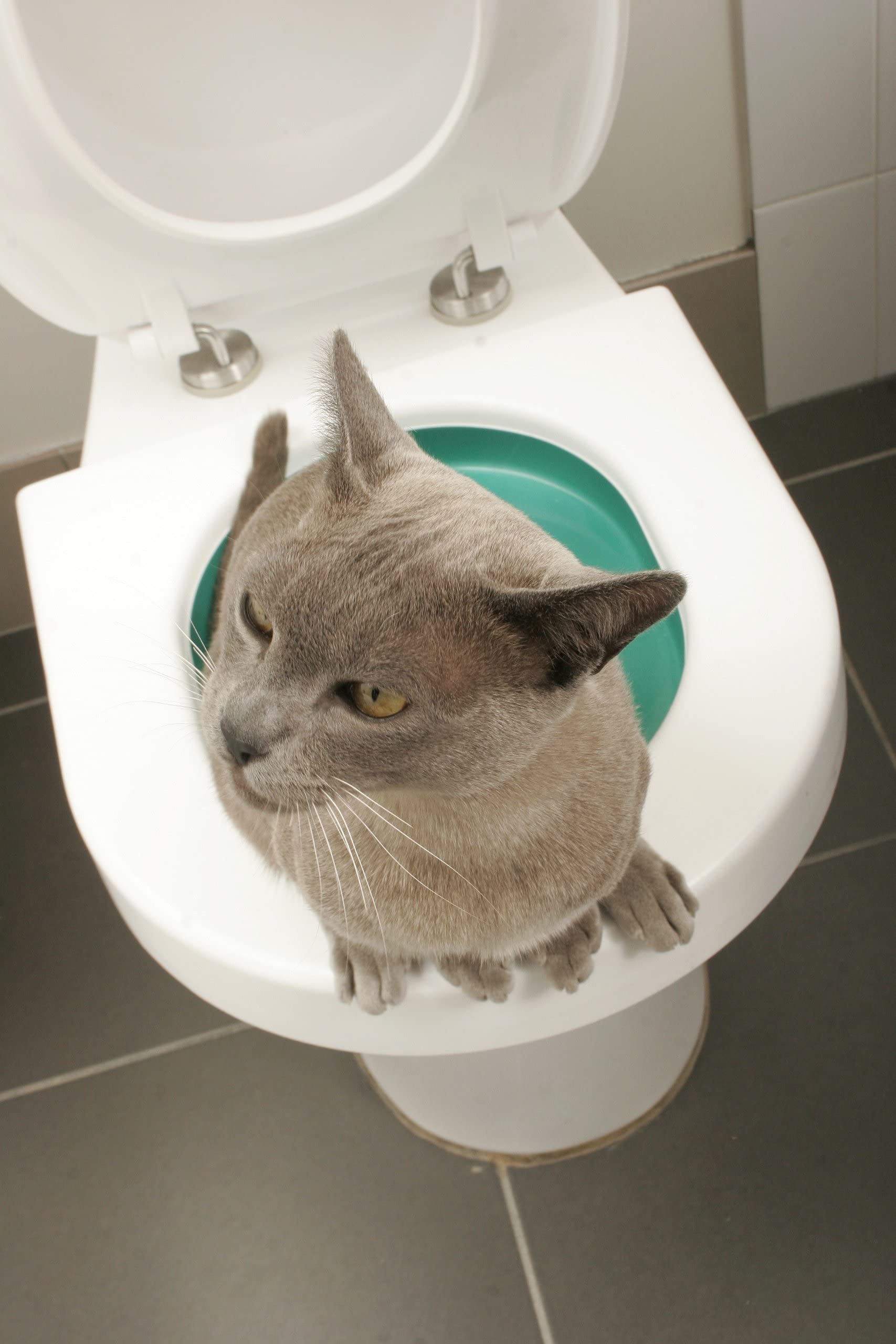 Cat Toilet Training System By Litter Kwitter - Teach Your Cat to Use the Toilet - With Instructional DVD