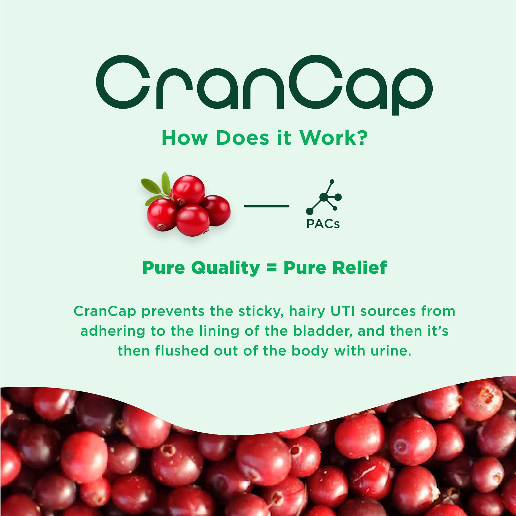 CranCap - Cranberry Pills - Urinary Tract Health Cranberry Supplement - 36mg of Potent PACs - Non GMO, Vegan, Gluten Free - by Heale - 30 Capsules