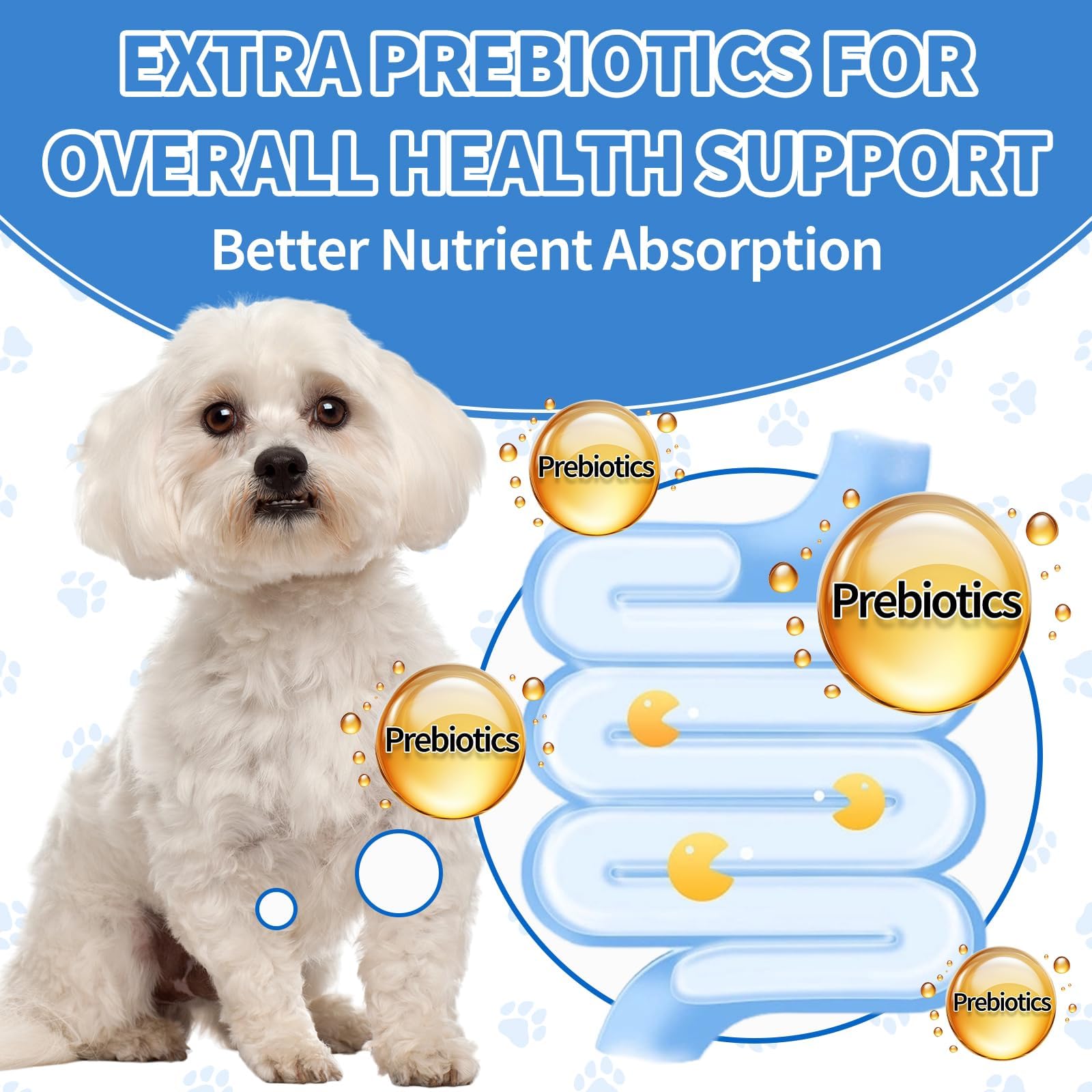 Digestive & Gut Support for Cats and Dogs - Cat Probiotics Soft Chews + Herbal Dog Antibiotics Supplement- Healthy Skin, Coat, Gut Support for Cat or Dog Supplements & Prebiotics