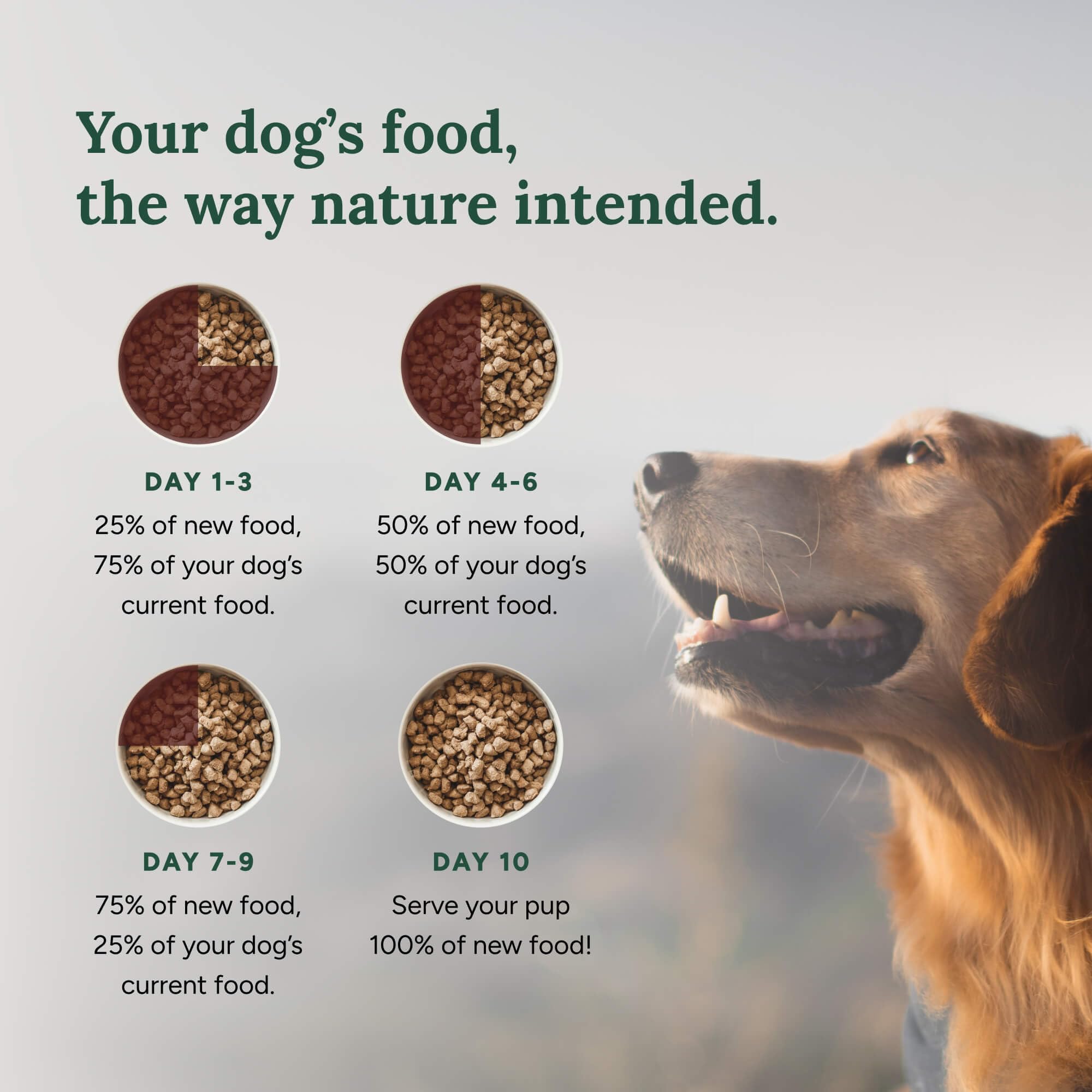 360 Pet Nutrition Raw Freeze-Dried Dog Food, High Protein, Complete Balanced Meal with Beef, Chicken,Organs, Whitefish, Omega-3, Fruit&Veg, Superfoods, No Fillers, 16oz Food/Bites/Kibble (Multi Meat)